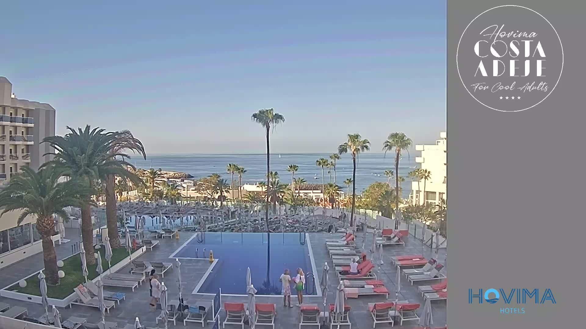A resort pool area with lounge chairs and palm trees overlooks a calm ocean under a clear sky.