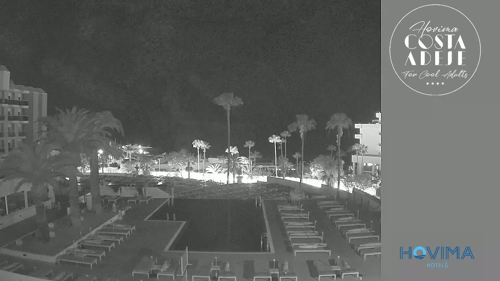 A nighttime, black and white view of a resort pool area with palm trees and lounge chairs surrounding a dark pool, under a clear night sky.