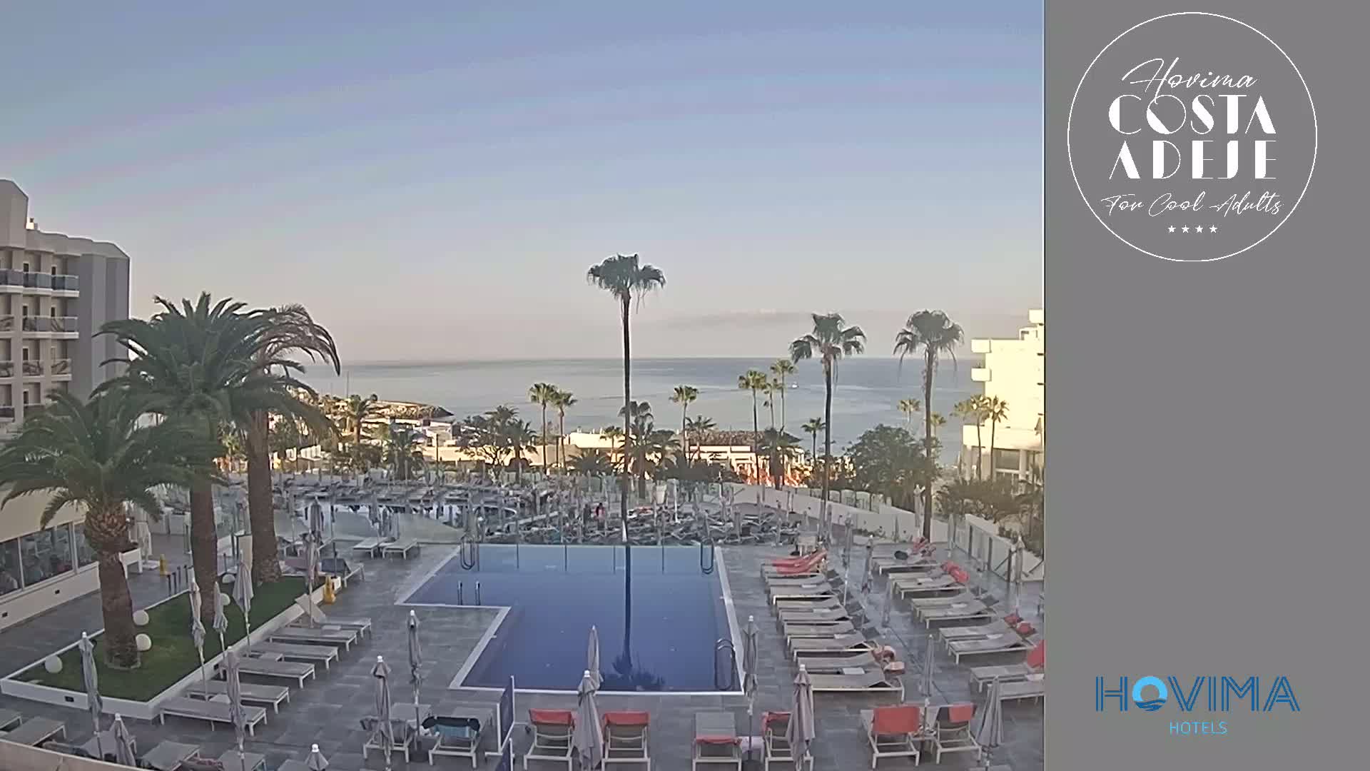 A resort pool area with numerous lounge chairs surrounding a rectangular pool, palm trees, and a clear view of the ocean under a sunny sky.