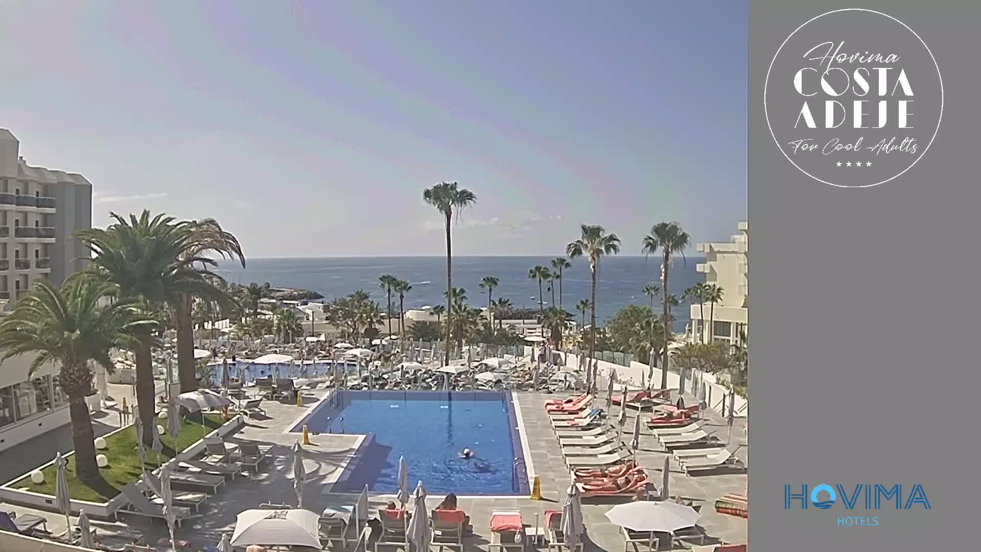 A resort pool area with lounge chairs and palm trees overlooks a calm ocean under a clear sky.