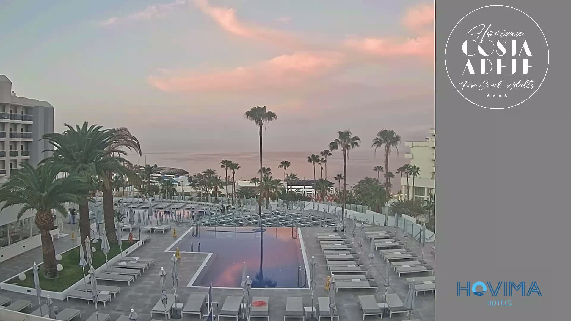 A hotel pool area with numerous lounge chairs surrounding a rectangular pool, palm trees, and a calm ocean visible in the distance under a soft, pinkish sunrise sky.