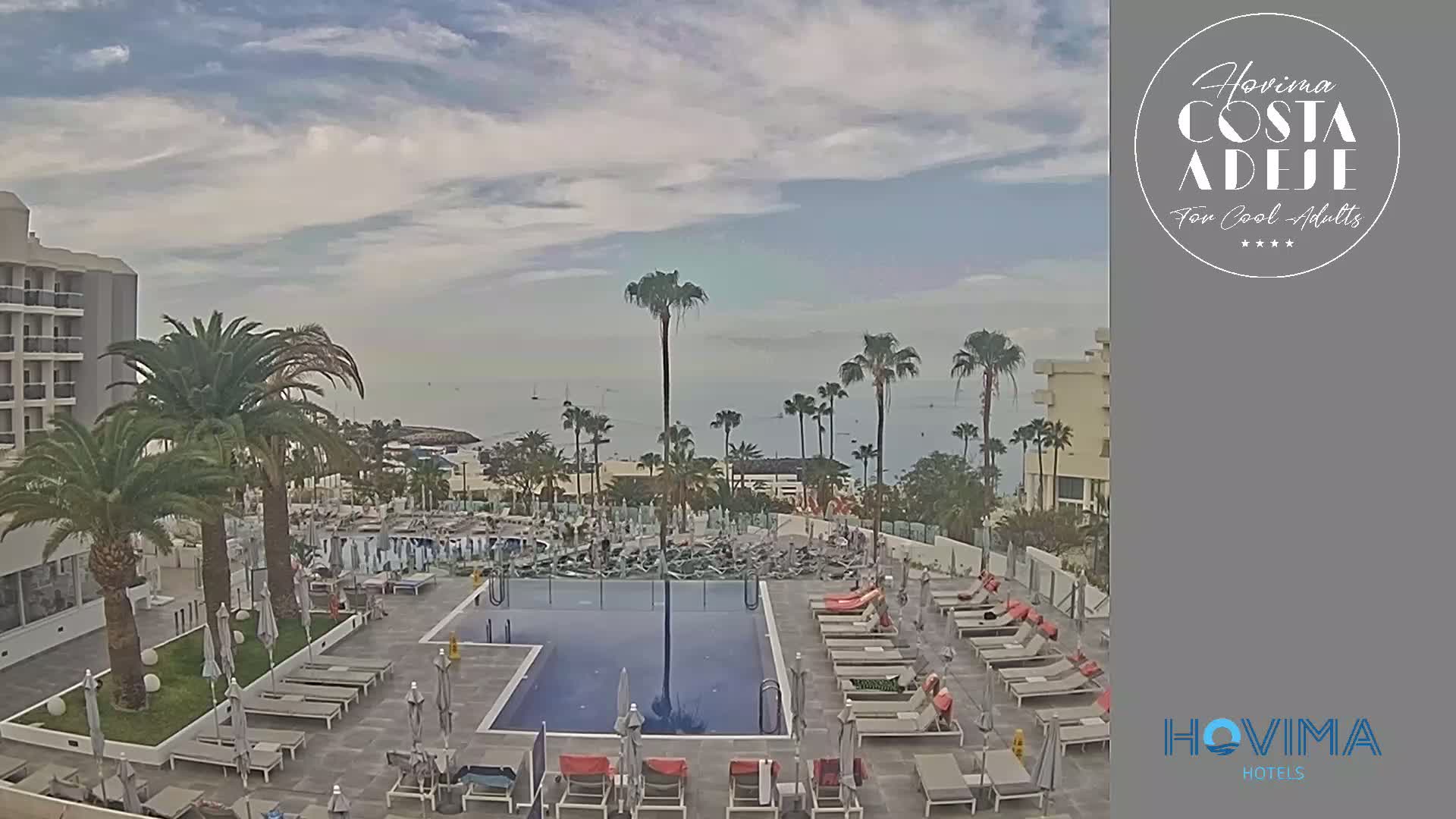 A resort pool area with lounge chairs surrounding a rectangular pool, palm trees, and a partially cloudy sky overlooks a calm ocean.