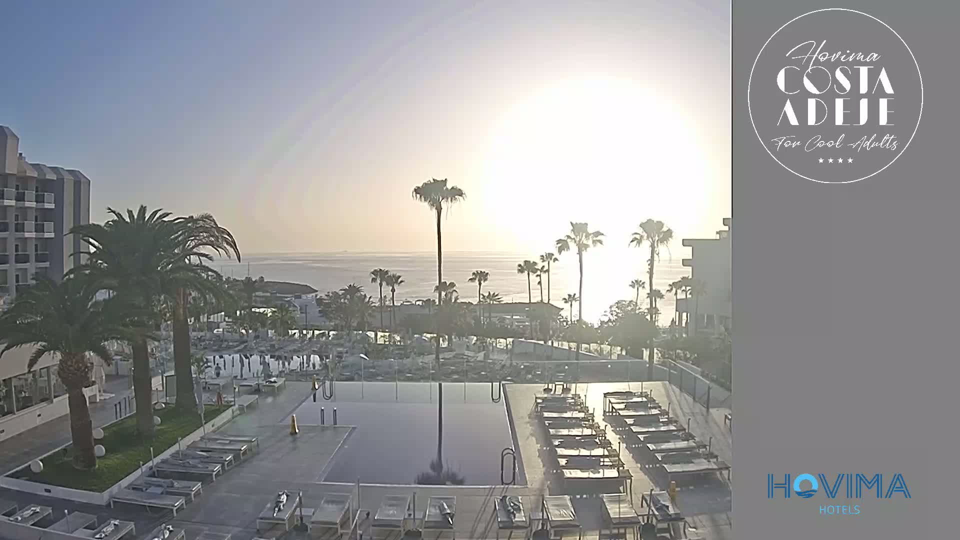 A hotel pool area with numerous lounge chairs surrounding a rectangular pool, palm trees, and a calm ocean visible in the background during a bright, sunny morning.
