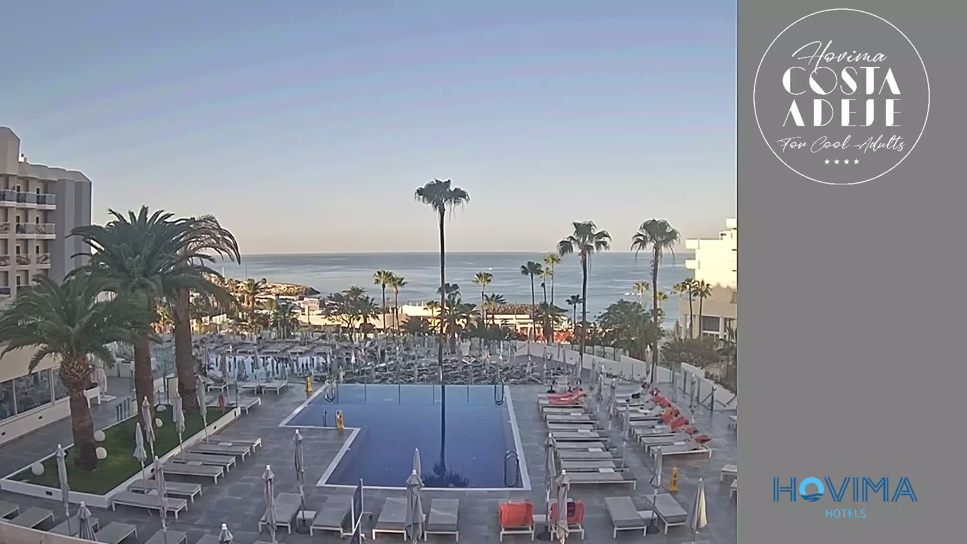 A resort pool area with lounge chairs and palm trees overlooks a calm ocean under a clear sky.