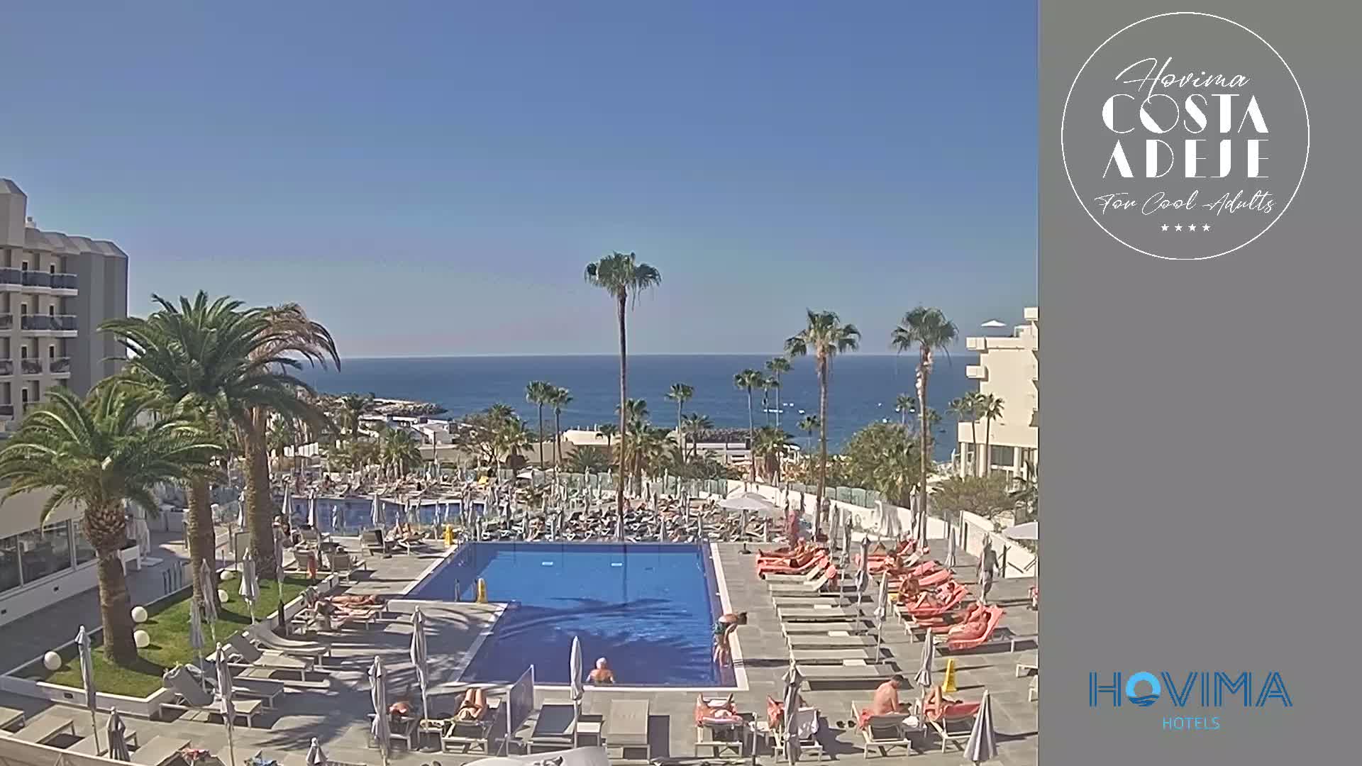 A resort pool area with numerous lounge chairs and palm trees, overlooking a calm ocean under a clear blue sky.