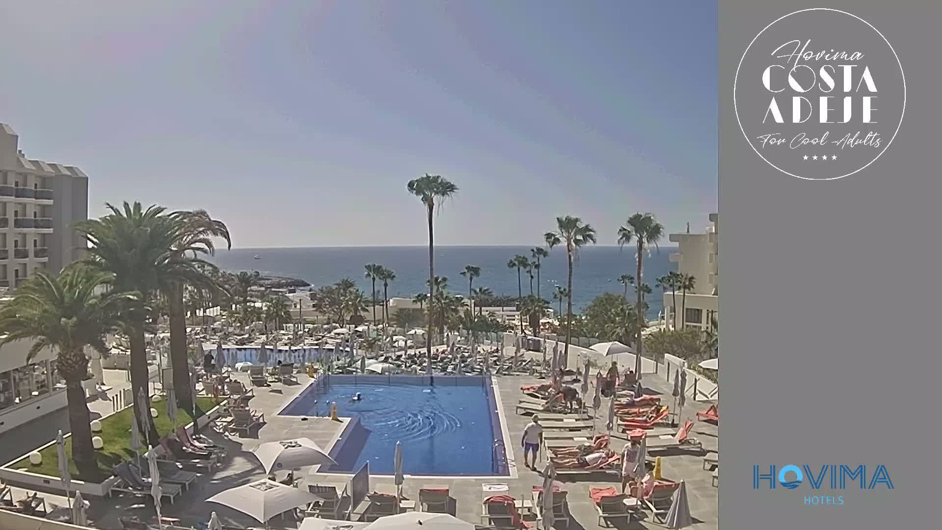 A resort pool area with palm trees and lounge chairs overlooks a calm ocean under a clear, sunny sky.