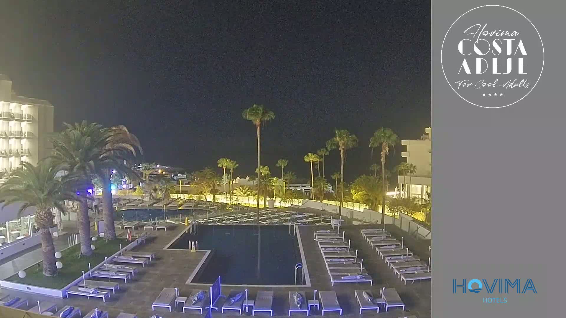 A nighttime view of a hotel pool area surrounded by palm trees under a clear, dark sky.