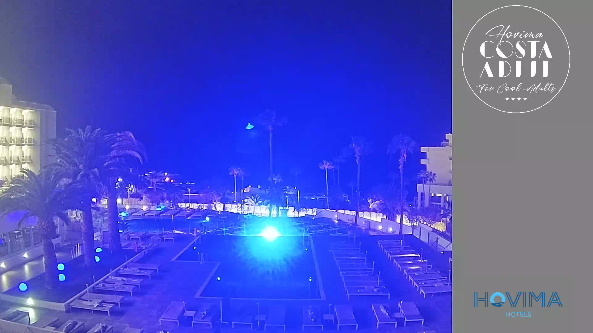 A nighttime view of a resort pool area with palm trees, lounge chairs, and a building illuminated in blue light under a clear, dark sky.