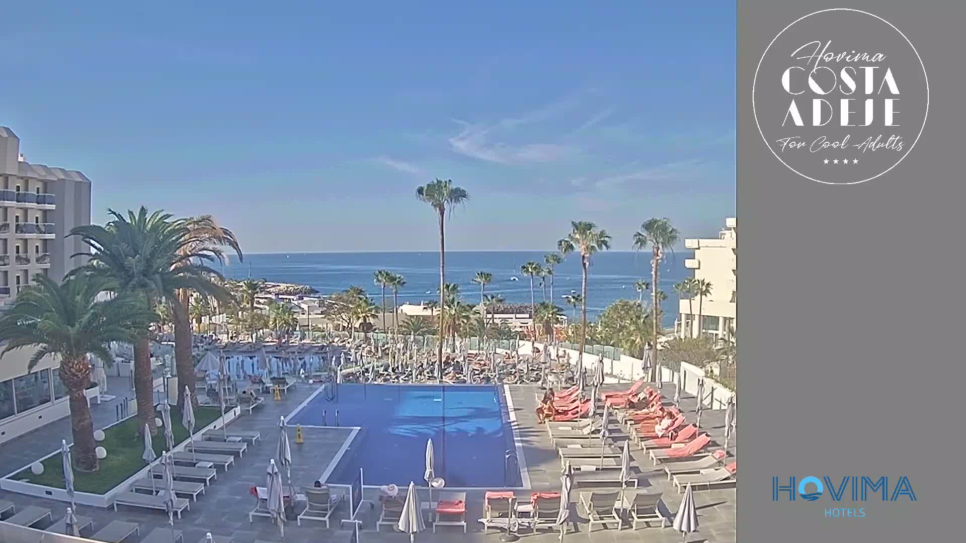 A resort pool area with lounge chairs and palm trees overlooks a calm ocean under a clear blue sky.