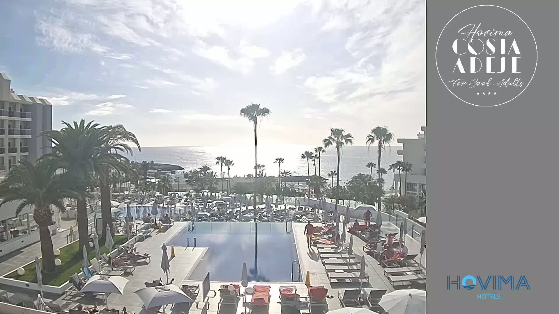 A sunny day at a resort with a swimming pool surrounded by lounge chairs and palm trees, overlooking a calm ocean.