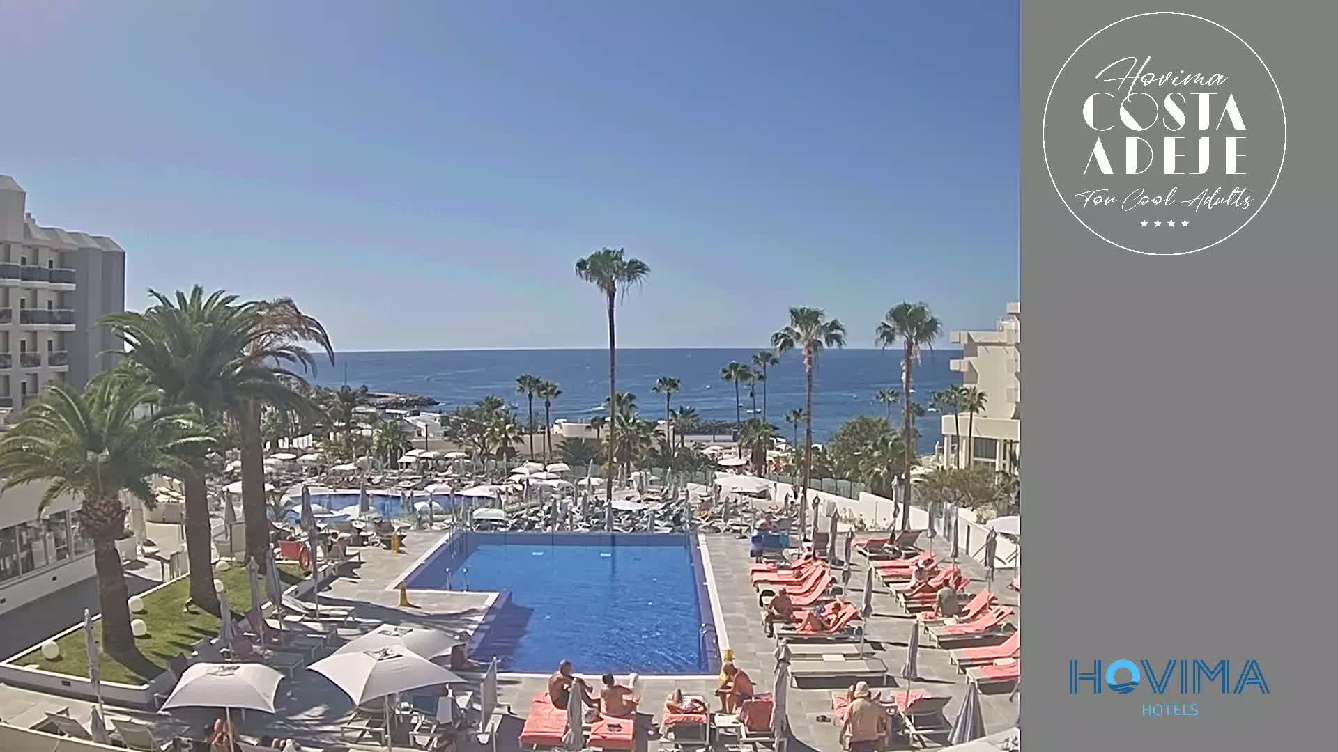 A resort pool area with sunbathers and palm trees overlooks a calm ocean under a clear blue sky.