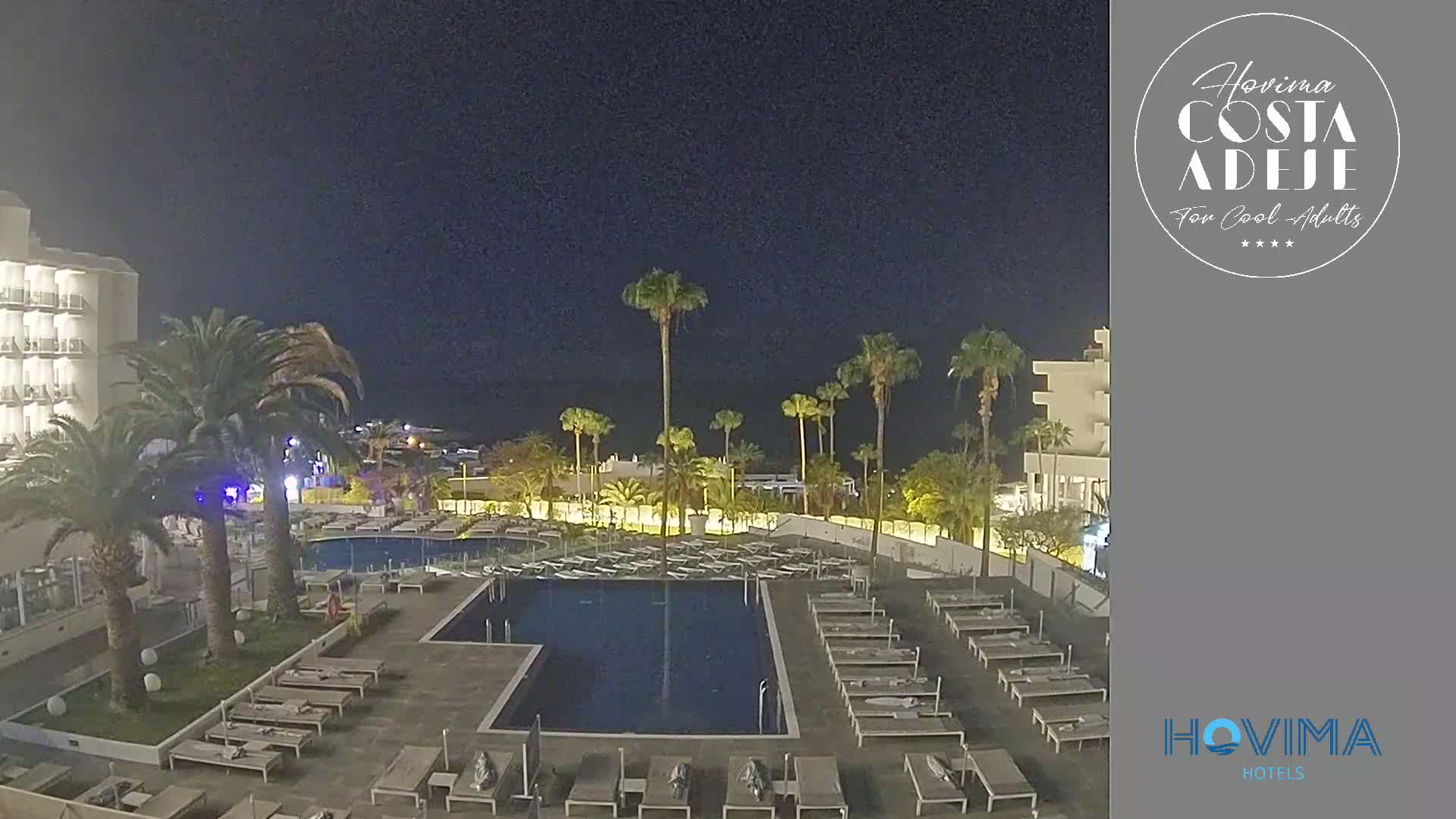 A nighttime view of a hotel pool area with palm trees, lounge chairs, and a building under a clear, dark sky.
