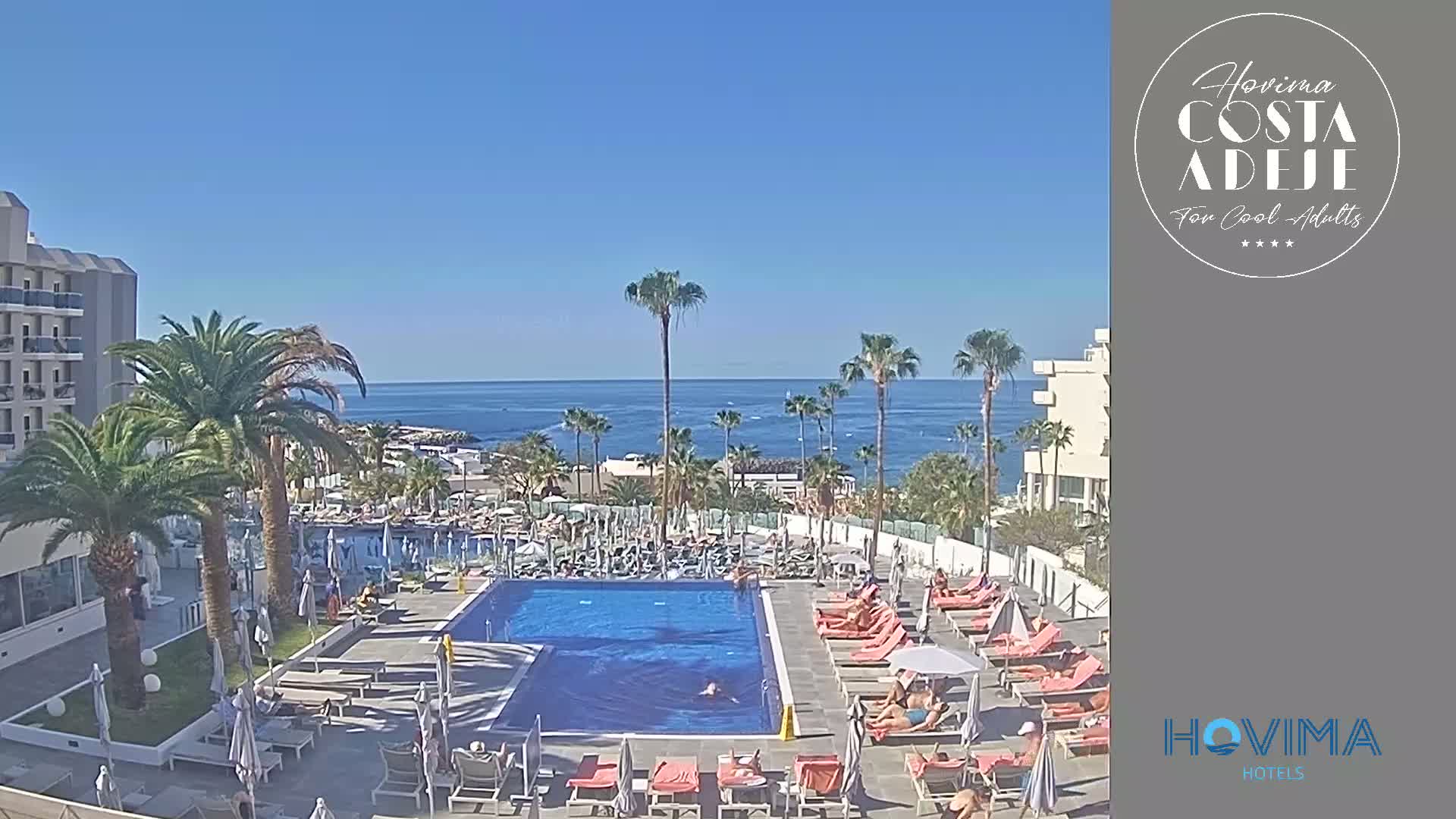 A resort pool area with sunbathers and palm trees overlooks a calm ocean under a clear blue sky.
