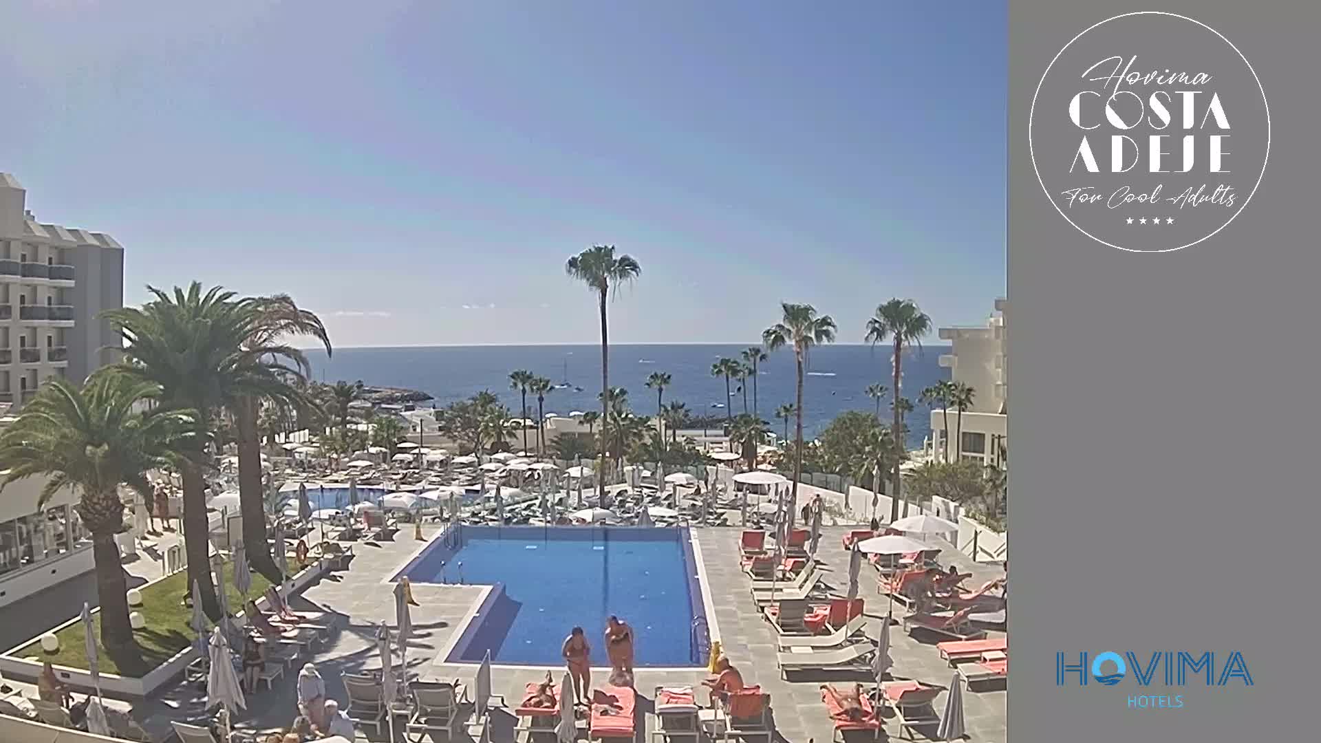 A resort pool area with palm trees and lounge chairs surrounds a large swimming pool, overlooking a calm ocean under a clear sky.
