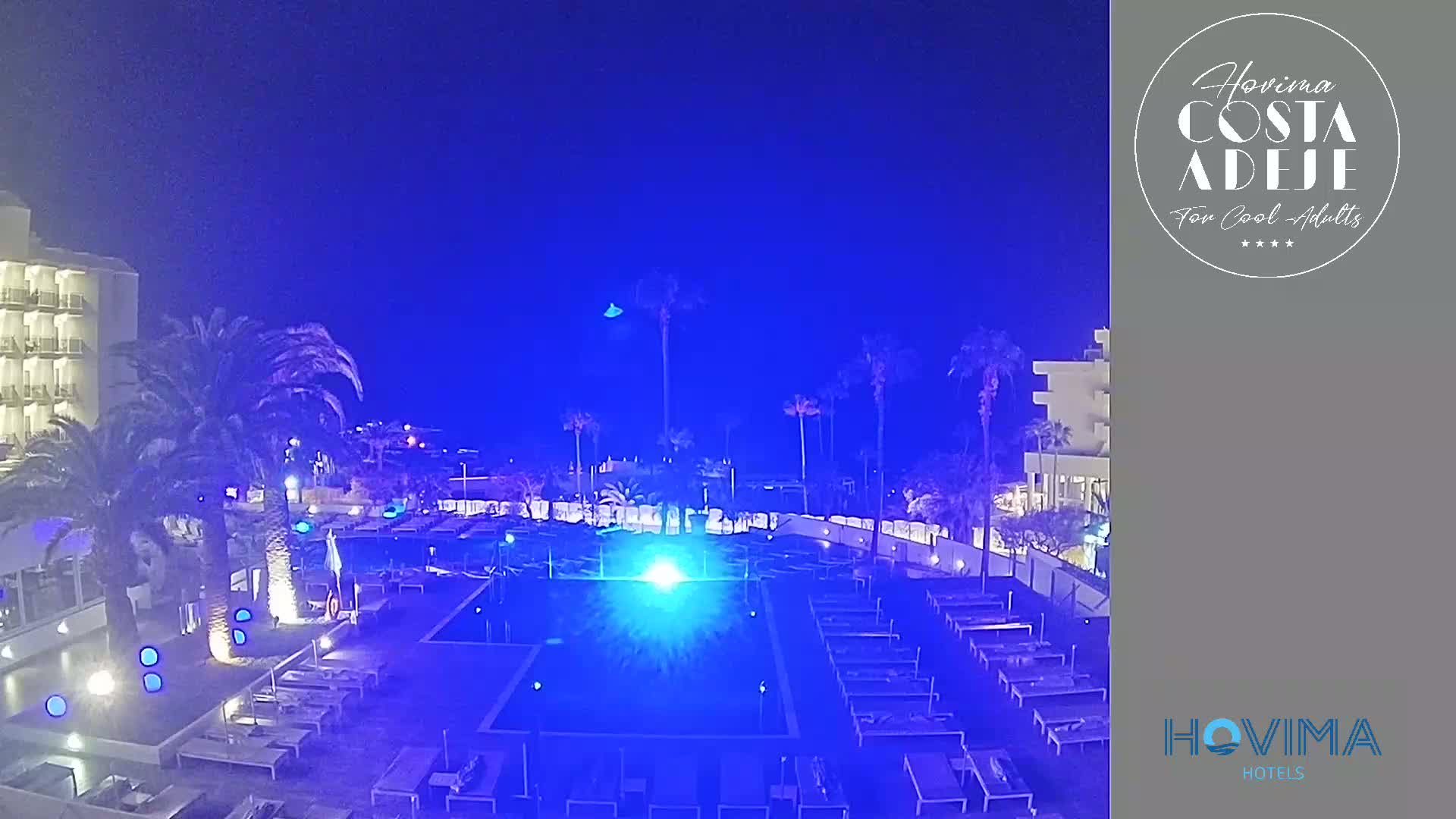 A nighttime view of a resort pool area with palm trees and buildings illuminated in blue light under a clear, dark sky.