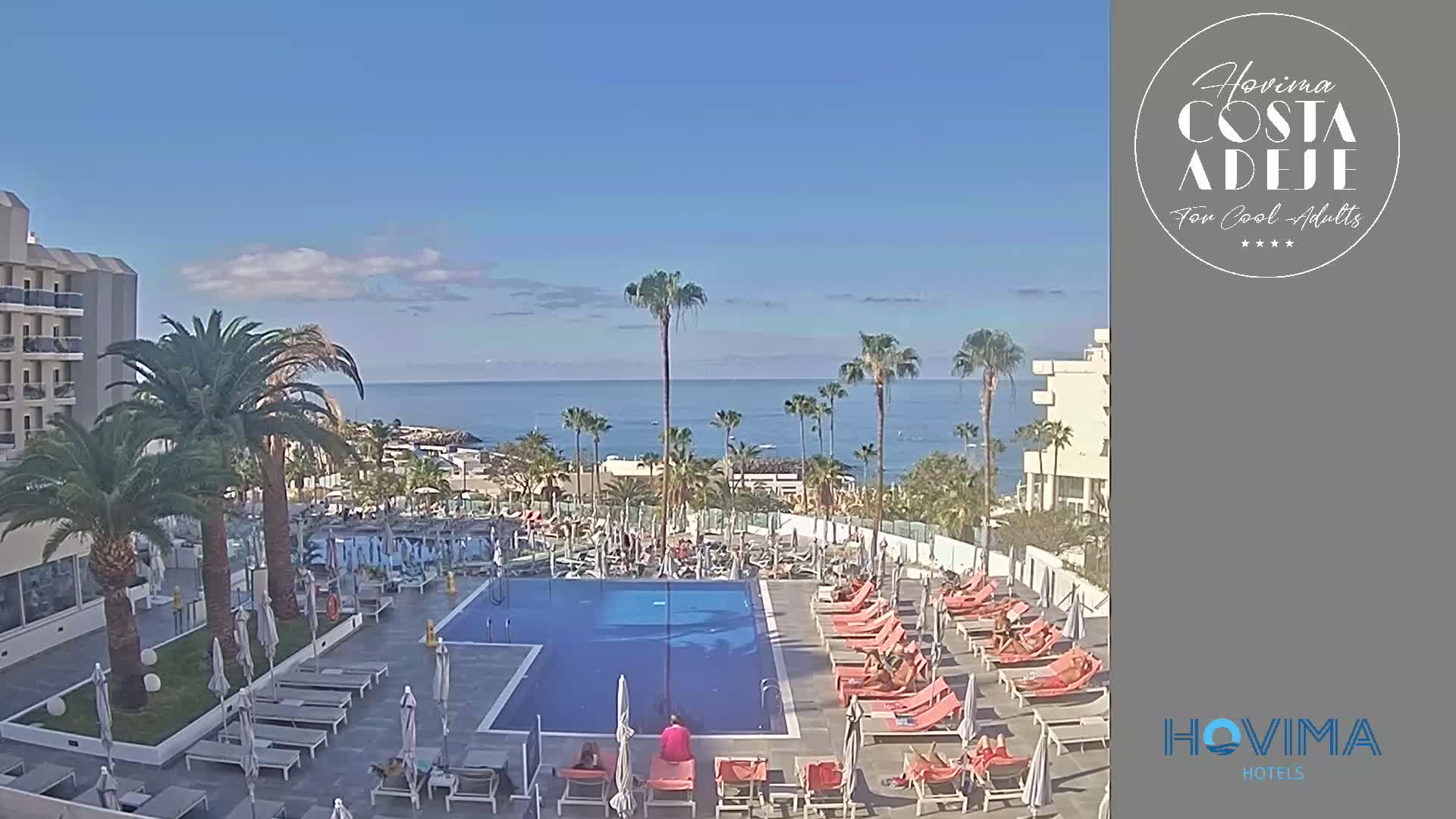 A resort pool area with lounge chairs and palm trees overlooks a calm ocean under a clear blue sky.