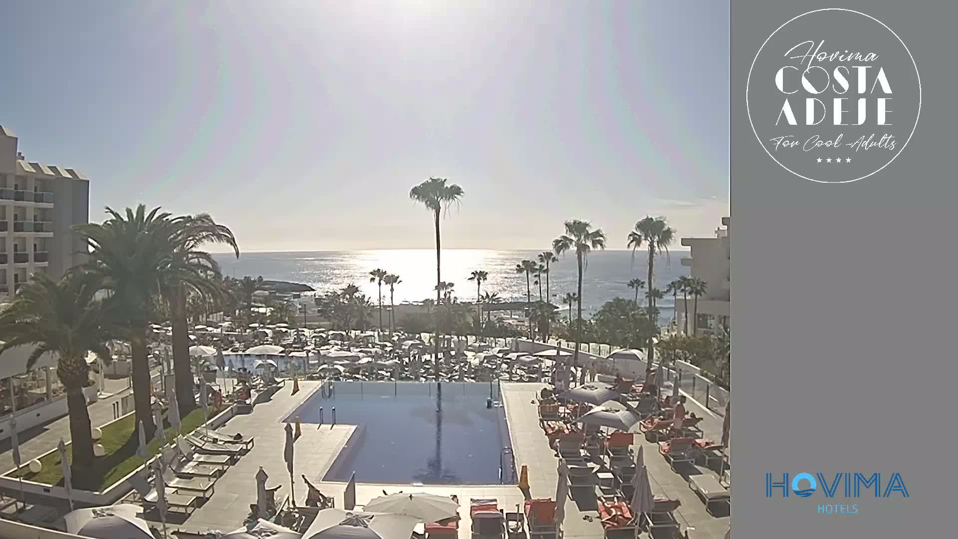 A resort pool area with numerous lounge chairs and umbrellas surrounds a swimming pool, all overlooking a calm ocean under a sunny sky.