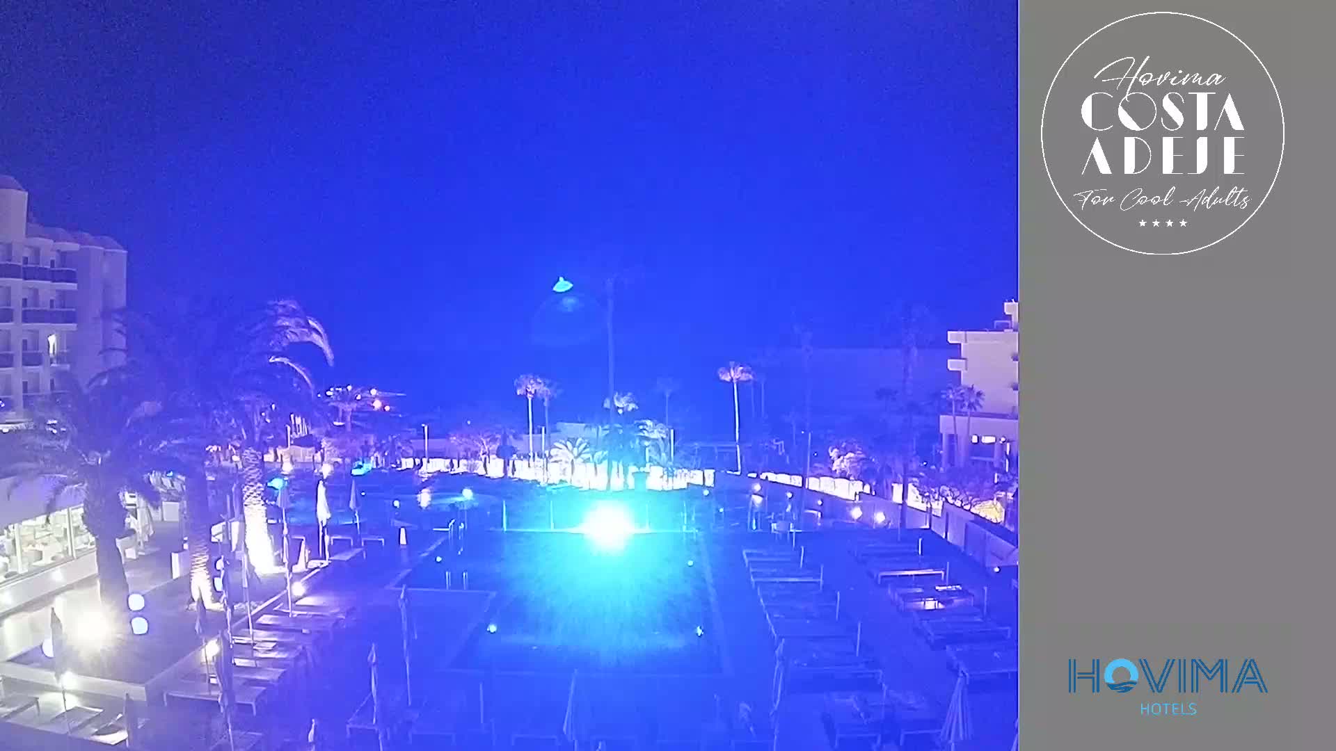 A nighttime view of a resort pool area with palm trees, illuminated by blue lighting, under a clear, dark blue sky.