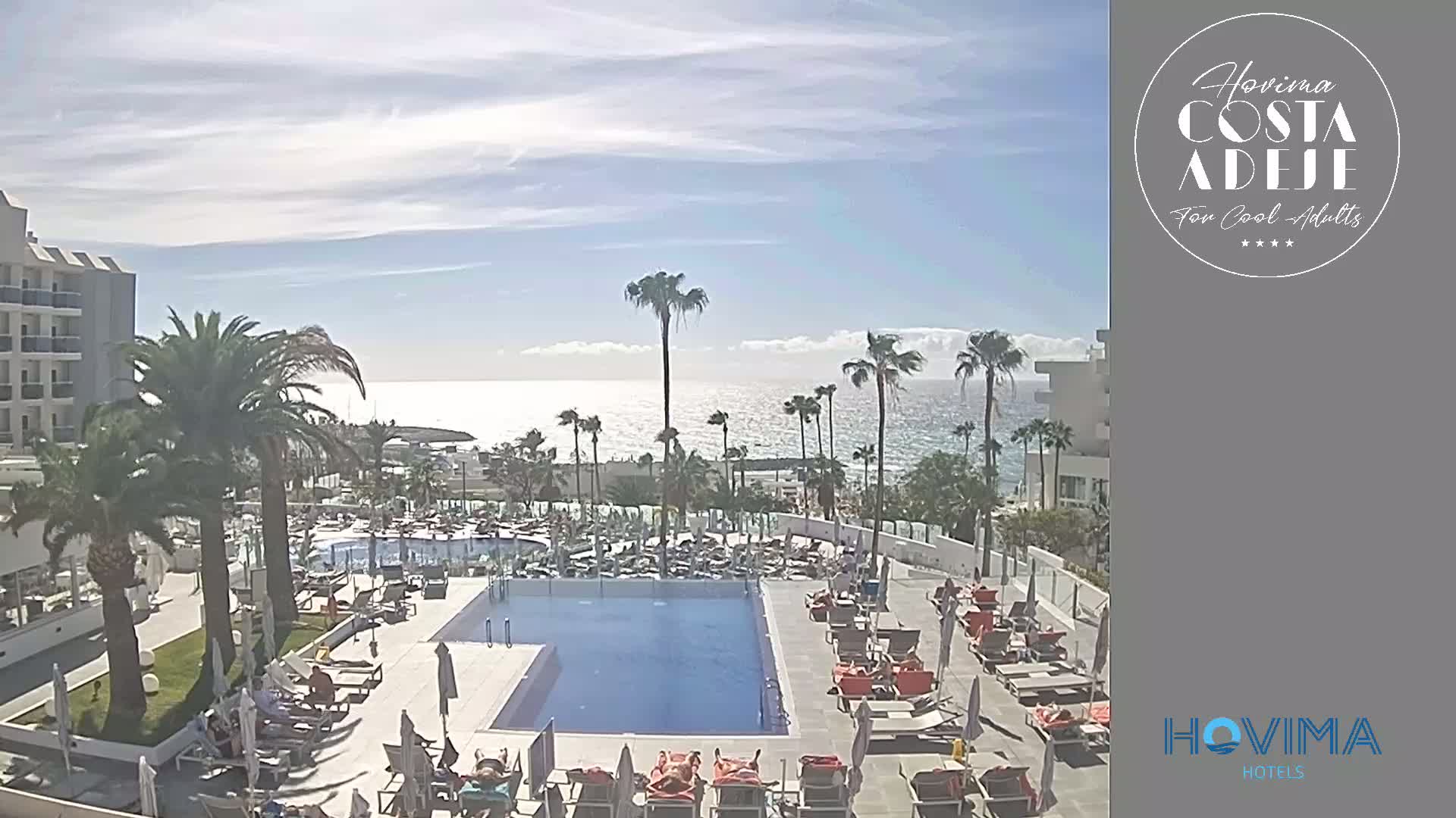 A sunny day overlooking a resort pool area with palm trees and a clear ocean view.
