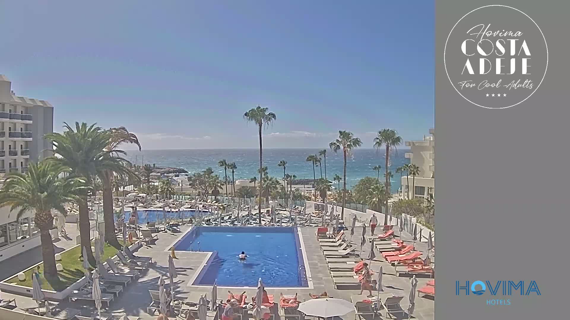 A resort pool area with lounge chairs and palm trees overlooks a calm ocean on a sunny day.