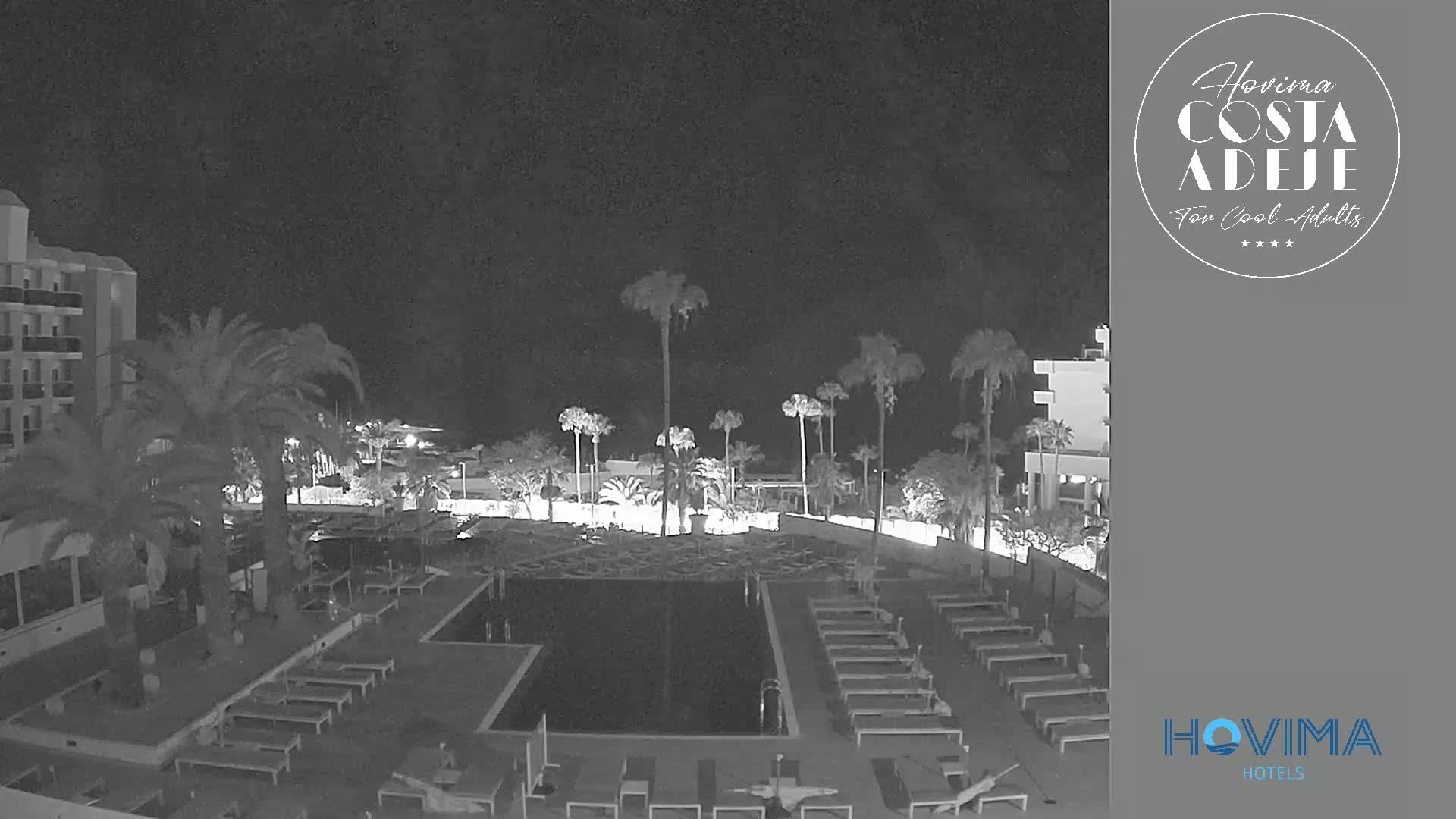 A nighttime, low-light view of a hotel pool area with palm trees, lounge chairs, and a building in the background.