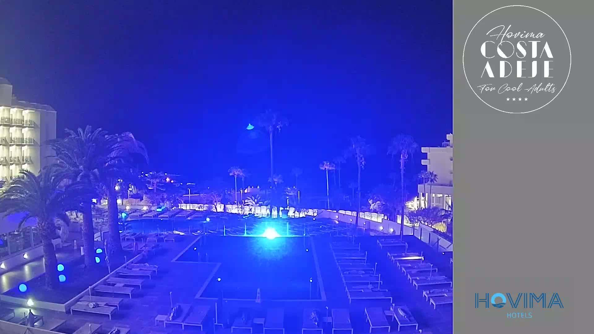 A nighttime view of a resort pool area with palm trees and a building illuminated in blue light under a clear, dark sky.