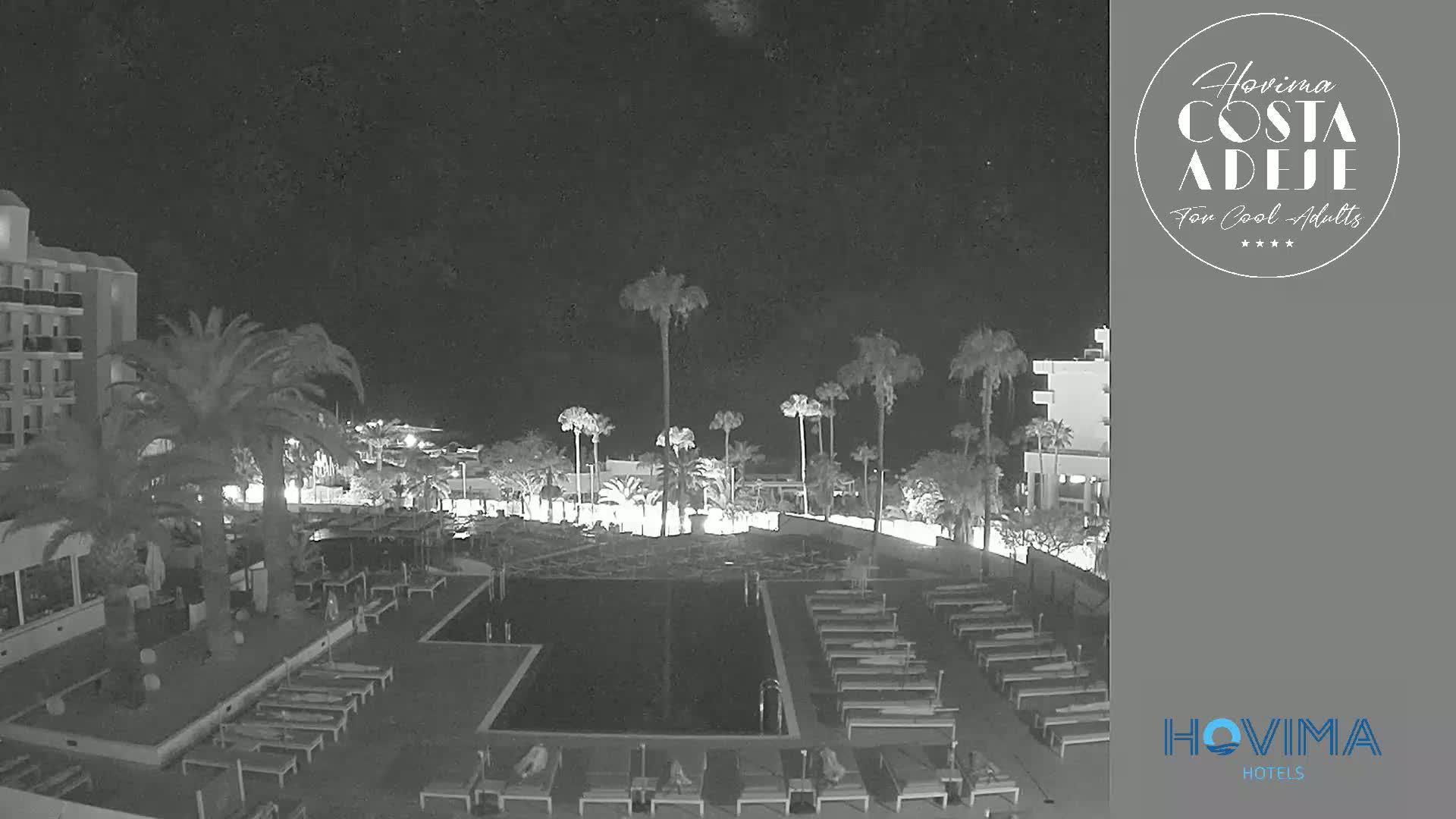 A nighttime view of a resort pool area with palm trees and lounge chairs surrounding a dark pool under a clear sky.