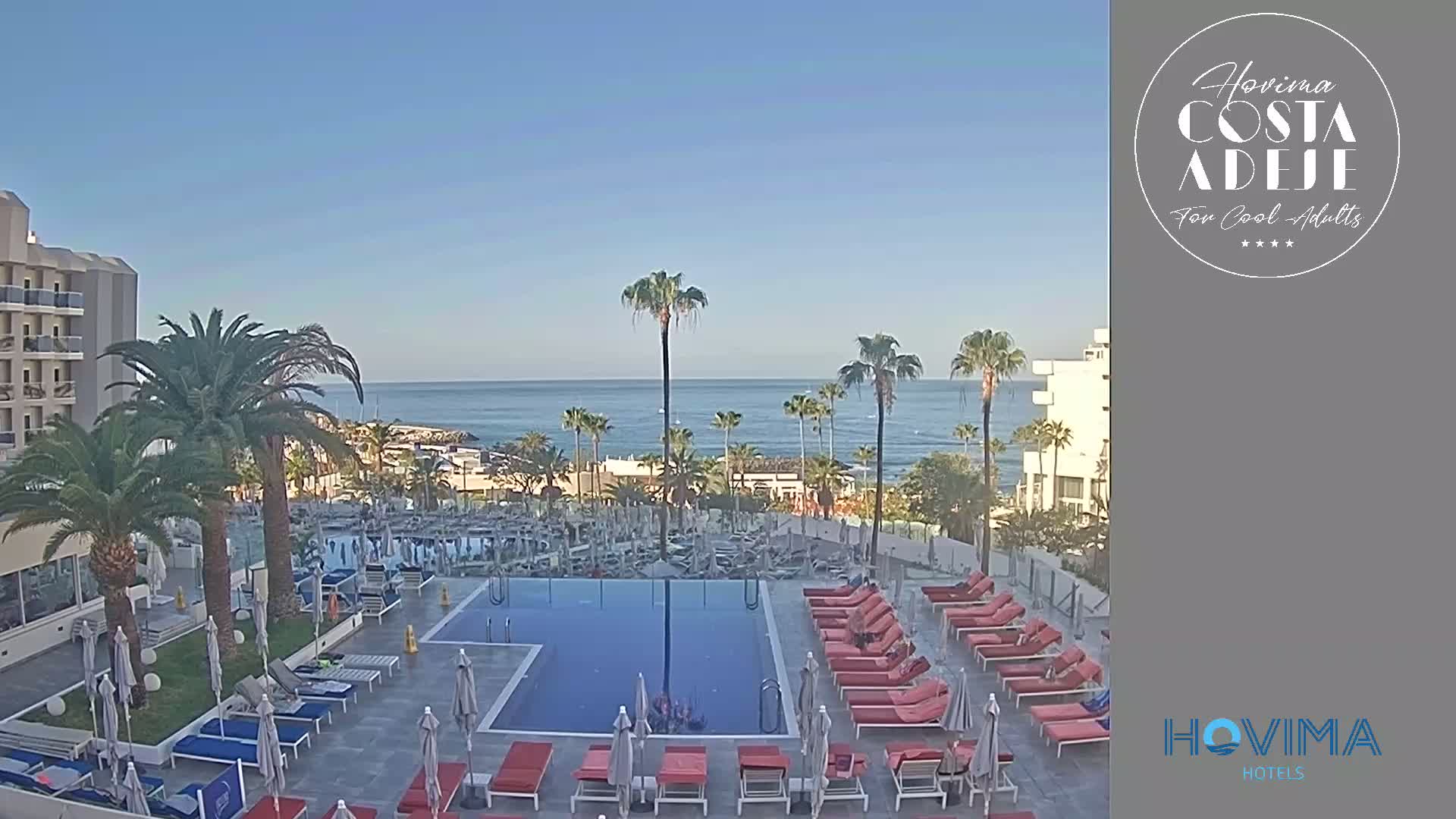 A resort pool area with lounge chairs surrounding a rectangular pool, palm trees, and a calm ocean in the background under a clear, sunny sky.