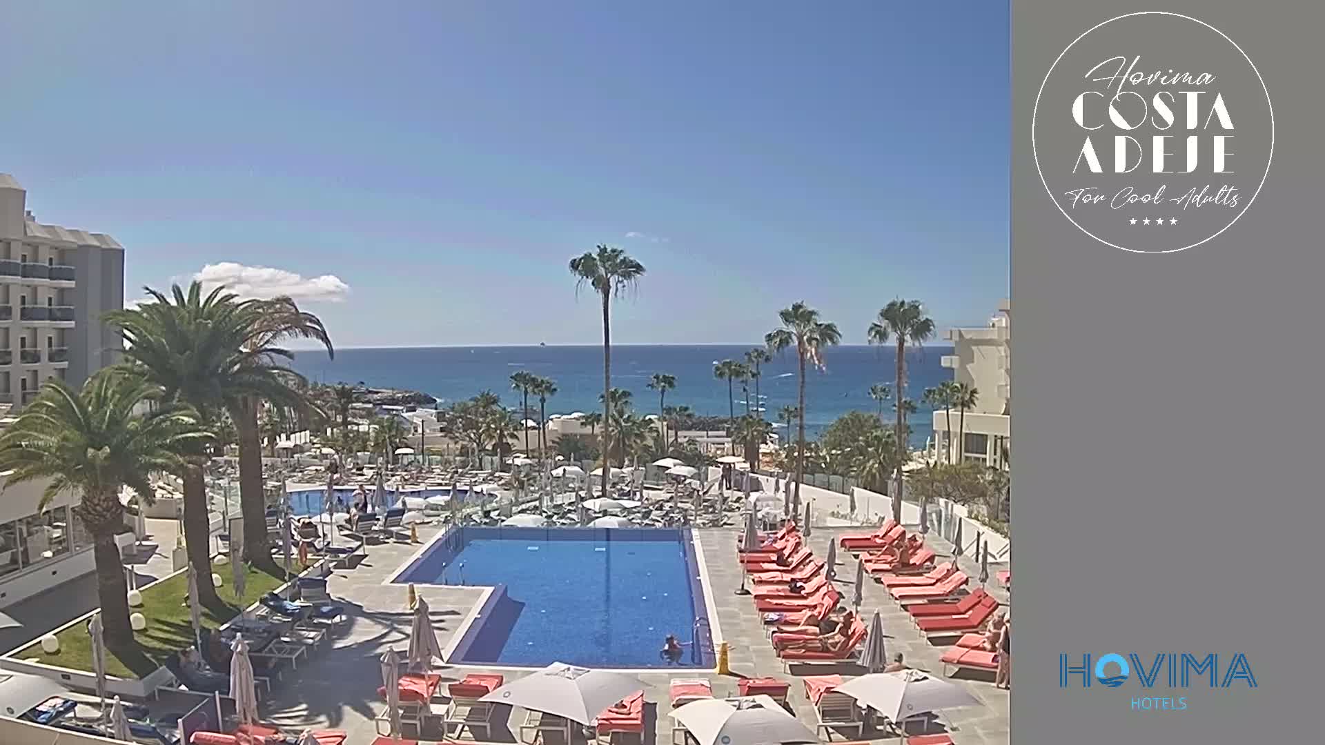 A sunny day shows a resort pool area with palm trees, lounge chairs, and a clear view of the ocean.