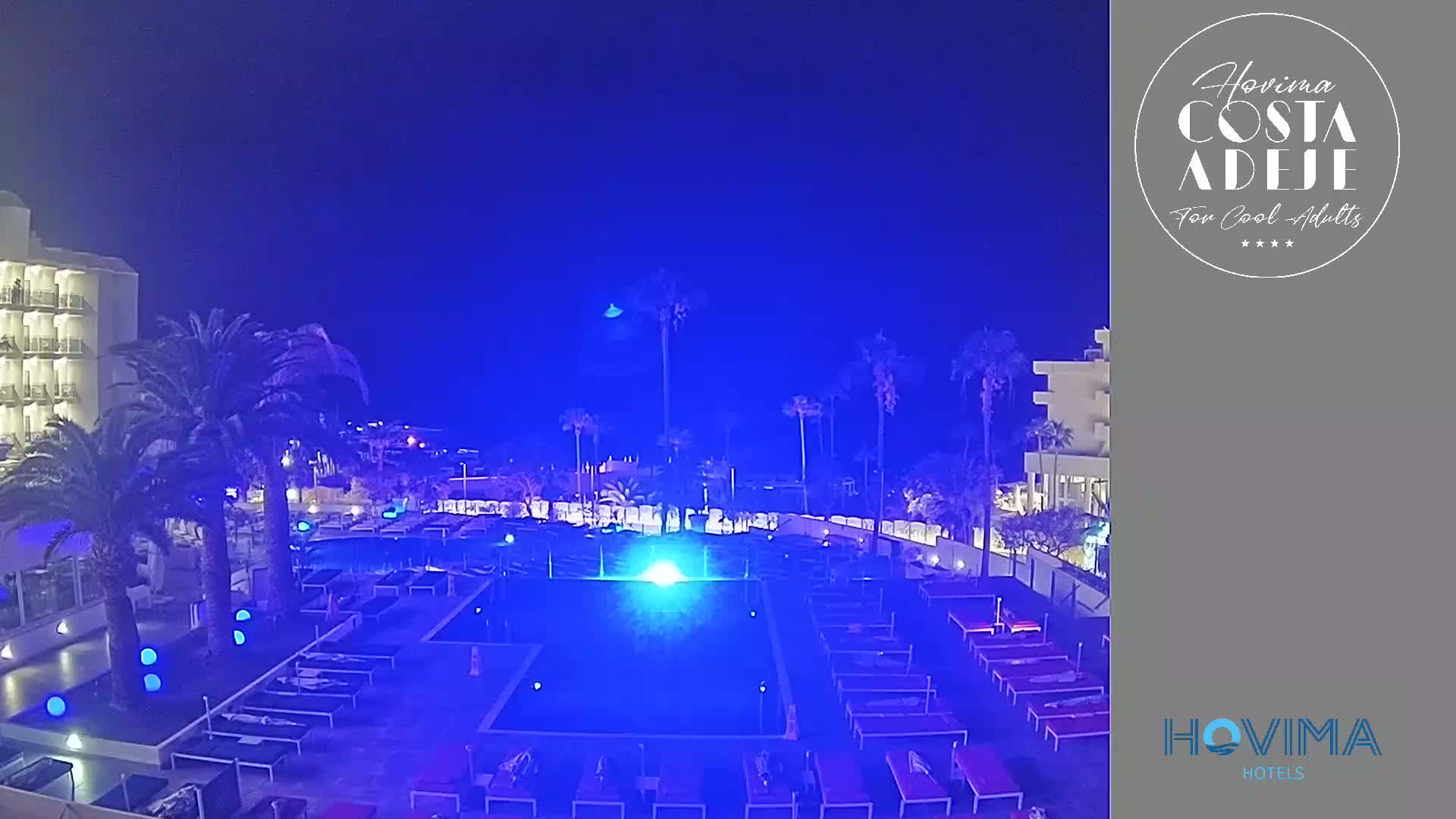 A nighttime view of a resort pool area with palm trees and a building illuminated in blue light.