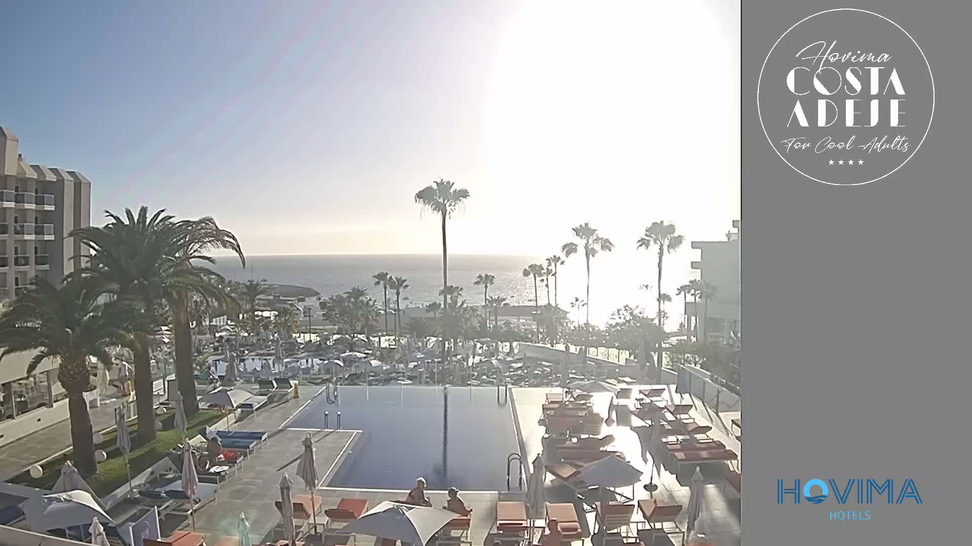 A resort pool area with palm trees and lounge chairs overlooks a calm ocean under a bright, sunny sky.
