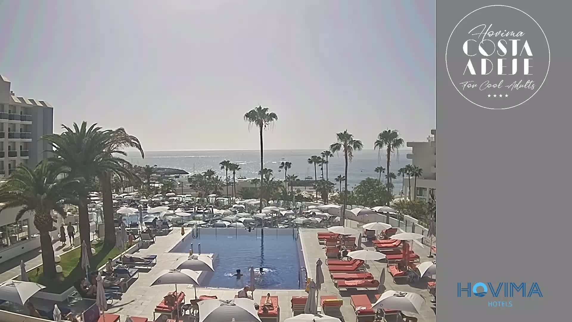 An outdoor swimming pool surrounded by palm trees, lounge chairs, and umbrellas overlooks a calm ocean on a sunny day.
