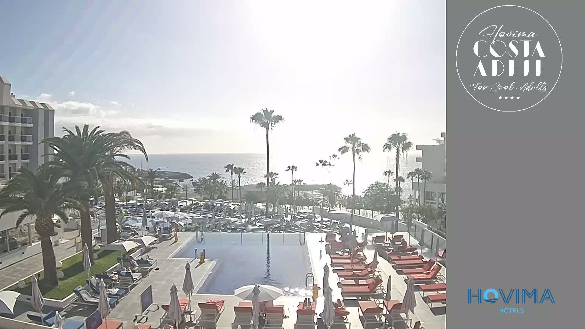 A sunny day overlooks a resort pool area with palm trees, lounge chairs, and a view of the ocean.