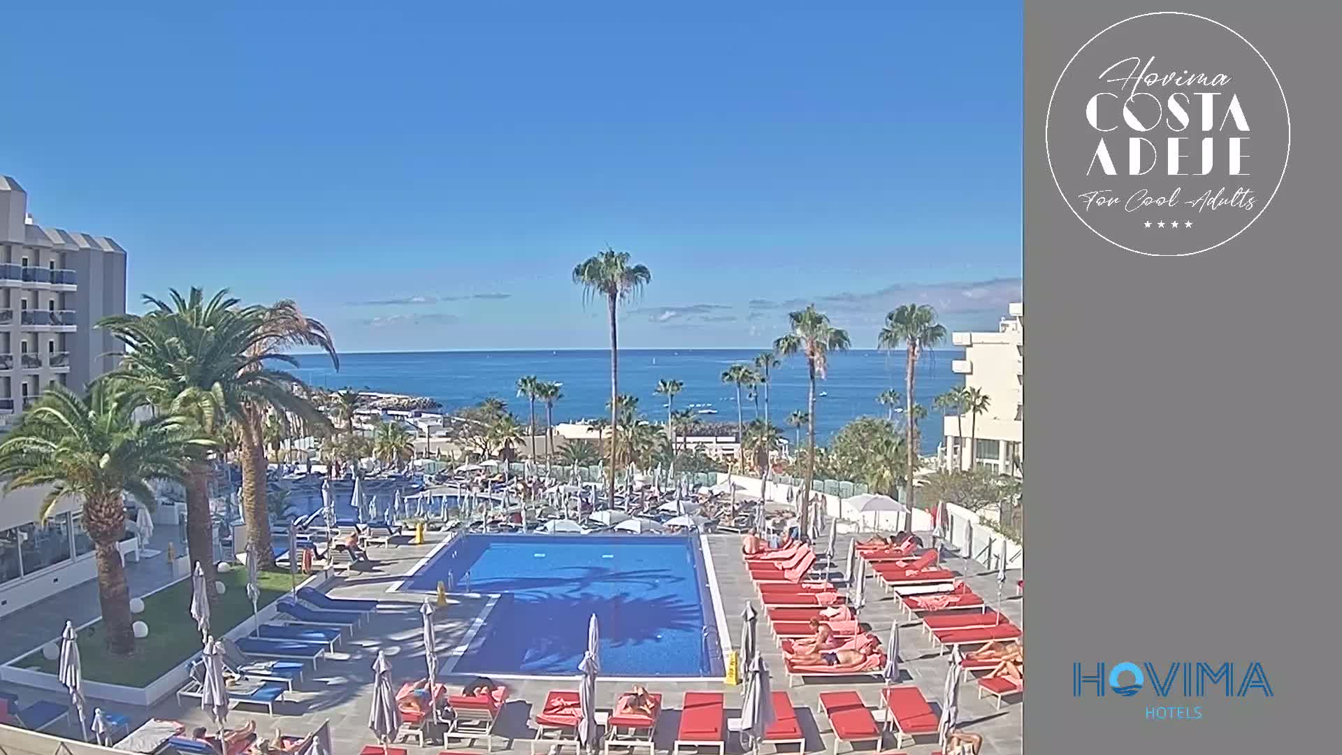 A resort pool area with red lounge chairs surrounds a large blue pool; palm trees and a clear blue ocean are visible in the background under a sunny sky.