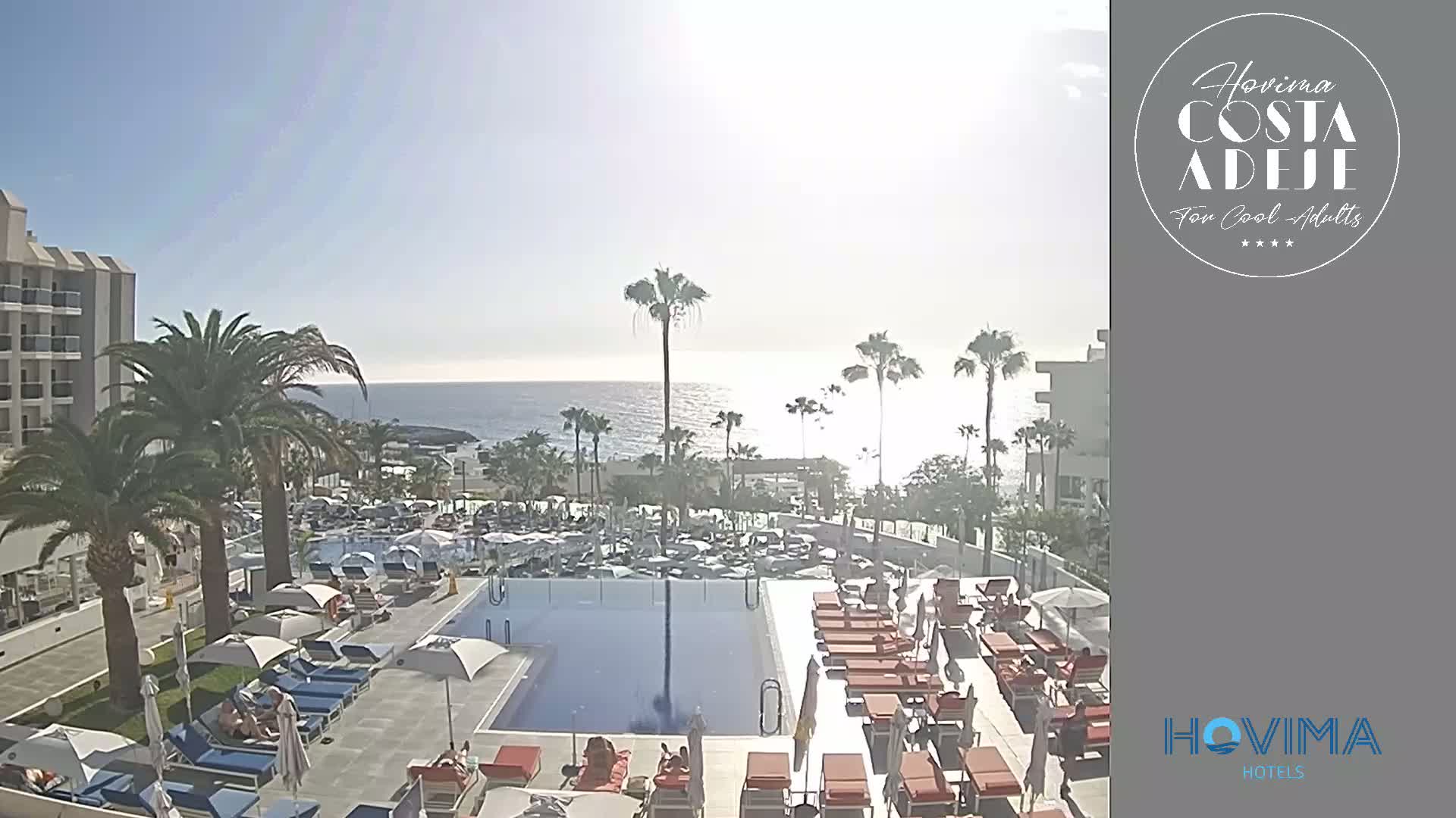 A sunny day overlooking a resort pool area with palm trees, chaise lounges, and a calm ocean in the background.
