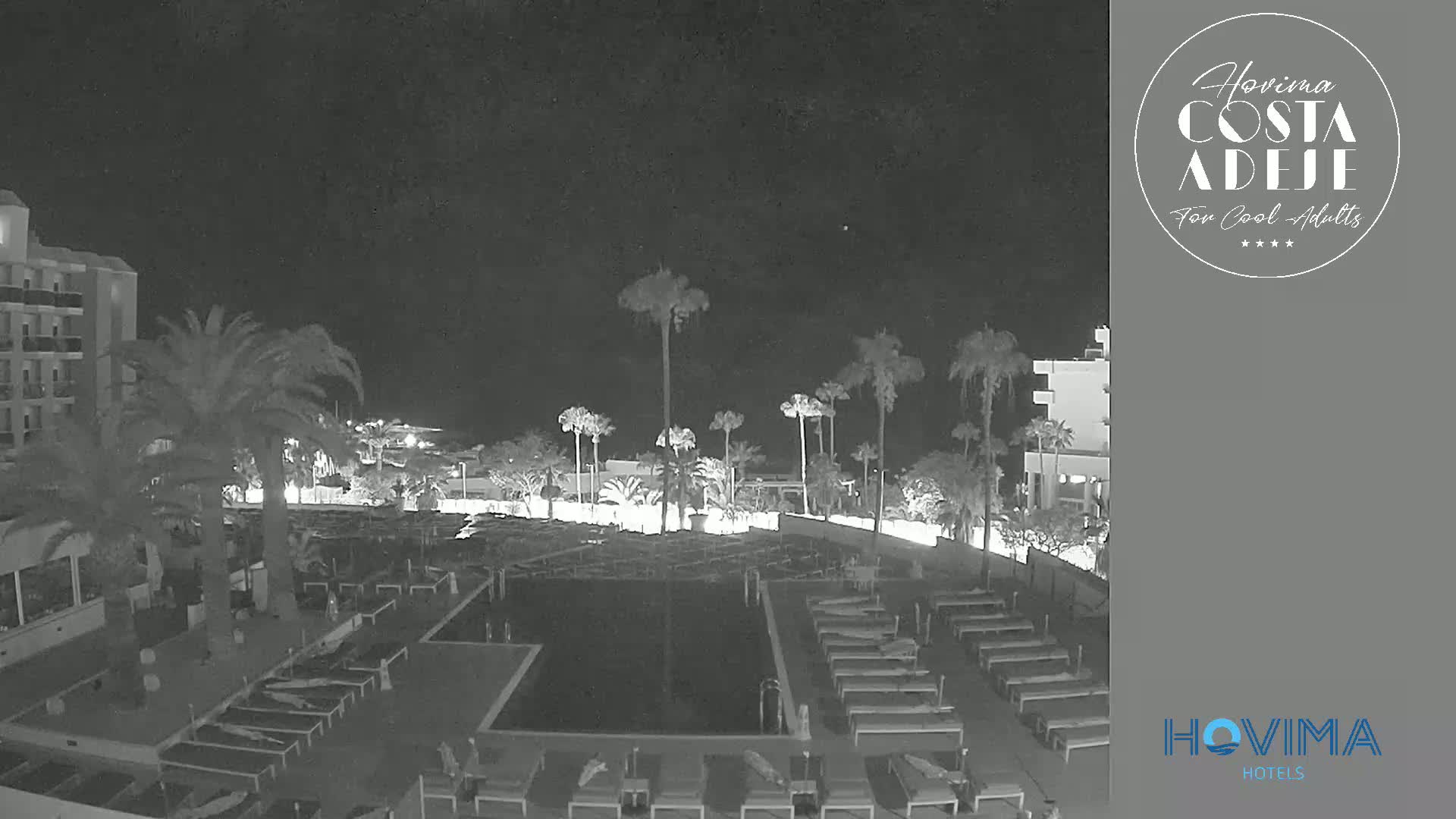 A nighttime, black-and-white view of a hotel pool area with palm trees and lounge chairs surrounding a dark pool.