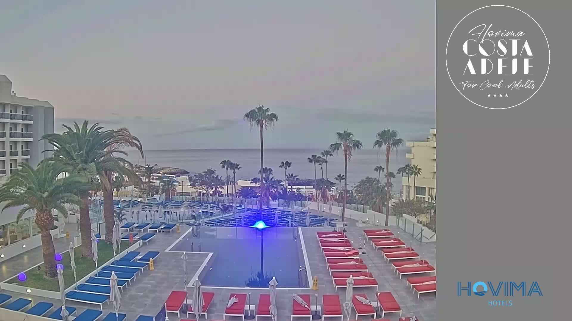 An outdoor pool area with lounge chairs surrounds a rectangular pool, palm trees, and a hotel building overlook a calm ocean under an overcast sky.