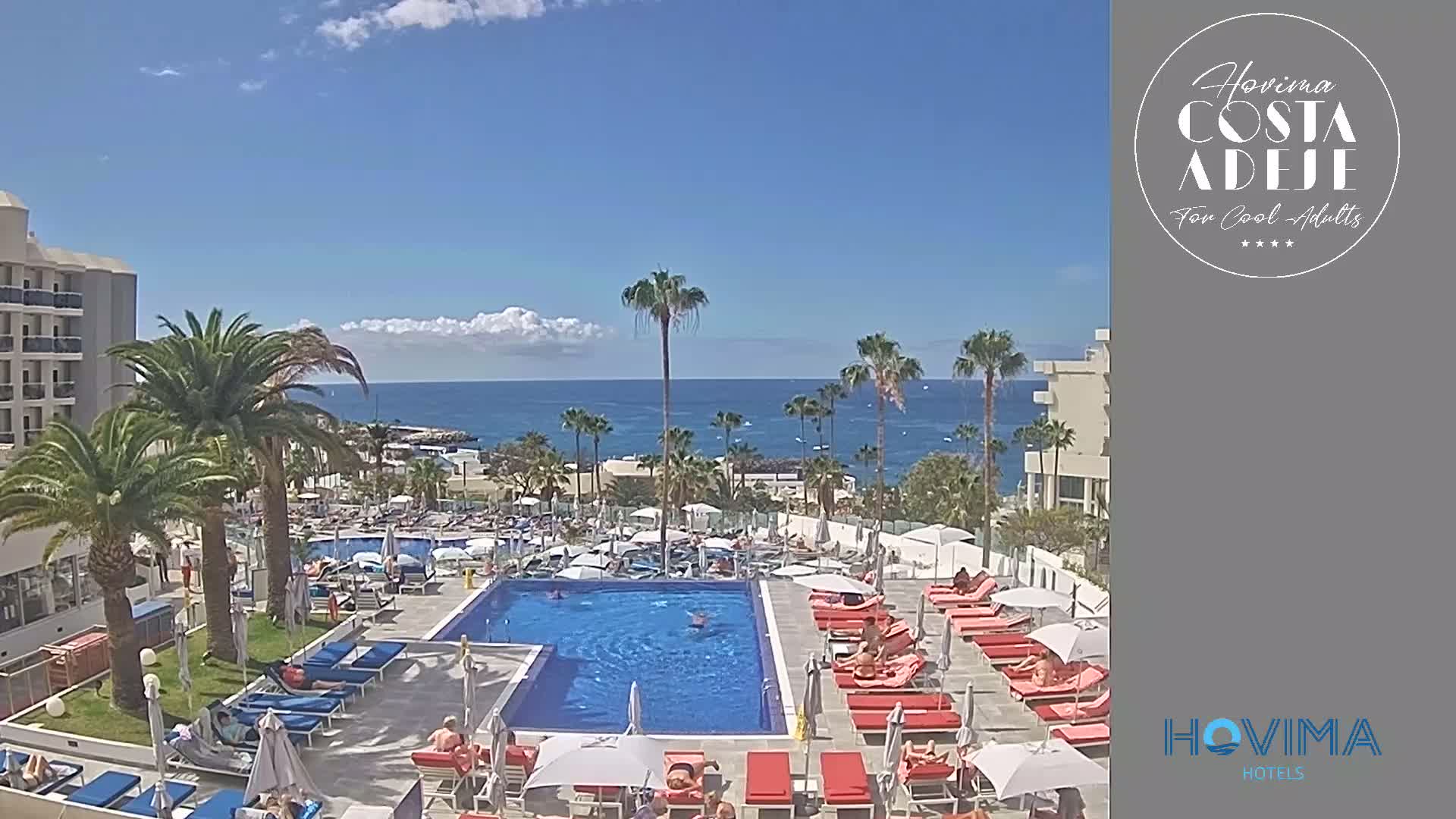 A sunny day at a resort pool area shows a large rectangular pool surrounded by red lounge chairs and palm trees, with a calm ocean in the background.