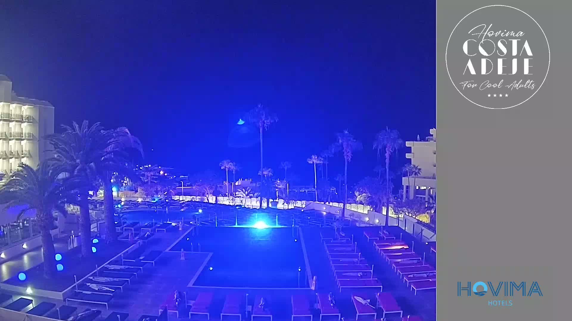 At night, a resort pool illuminated in blue light is surrounded by palm trees, lounge chairs, and a hotel building under a clear, dark blue sky.