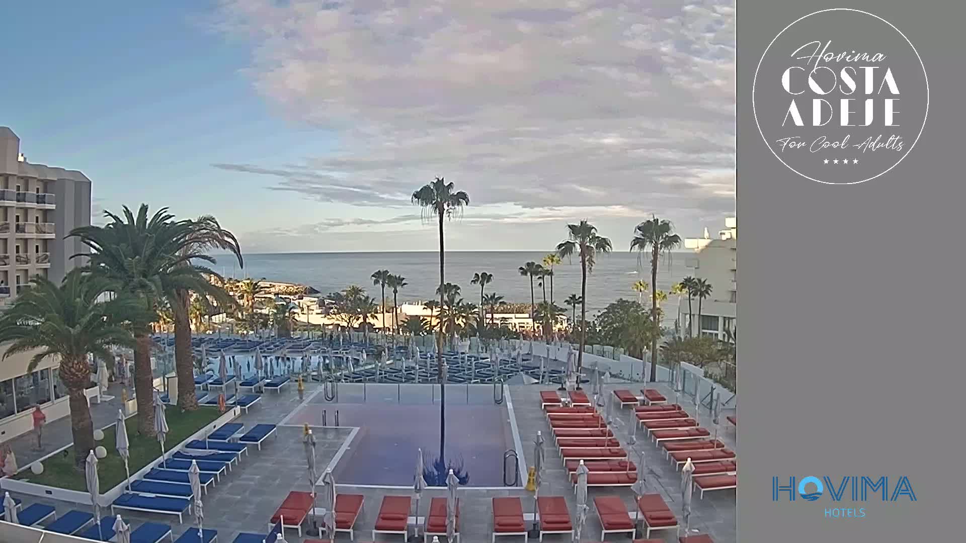An outdoor pool area with numerous lounge chairs and palm trees overlooks a calm ocean under a partly cloudy sky.