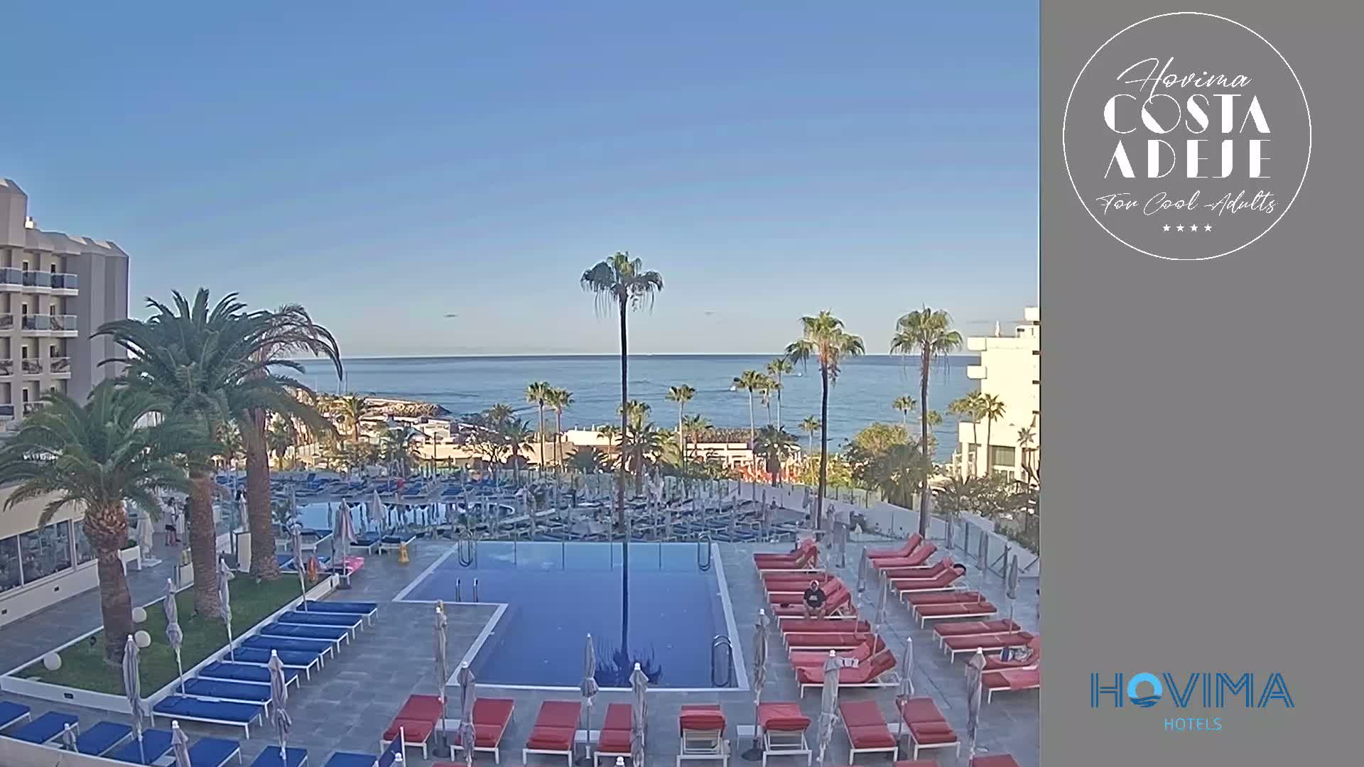 A resort pool area with numerous lounge chairs surrounding a rectangular pool, palm trees, and a clear view of a calm ocean under a bright, sunny sky.