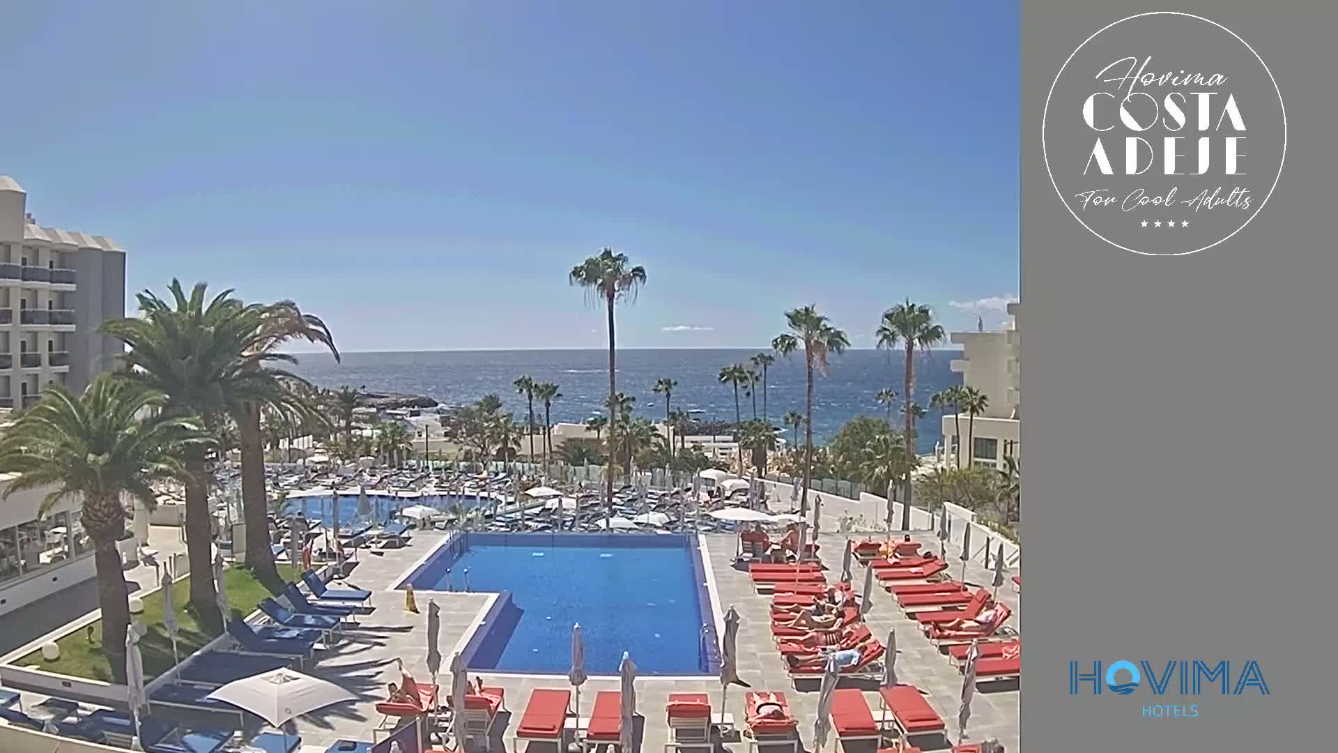 A large resort pool surrounded by lounge chairs and palm trees overlooks a calm ocean on a sunny day.