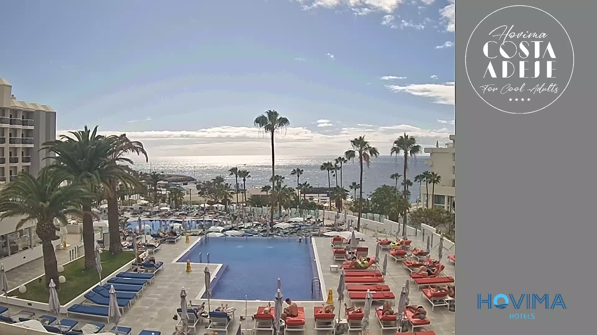 A resort pool area with sunbathers and palm trees overlooks a calm ocean under a partly cloudy sky.