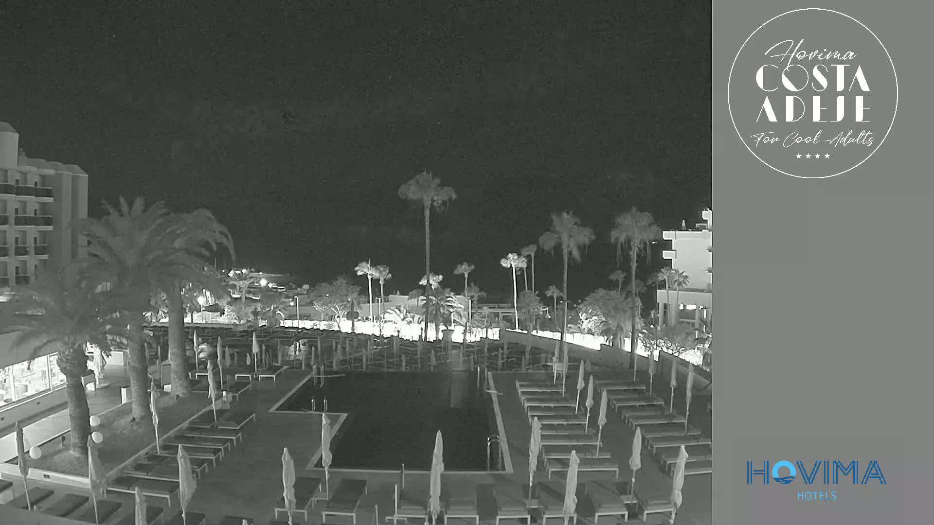 A nighttime, black-and-white view of a resort pool area with palm trees and a building under a clear, dark sky.