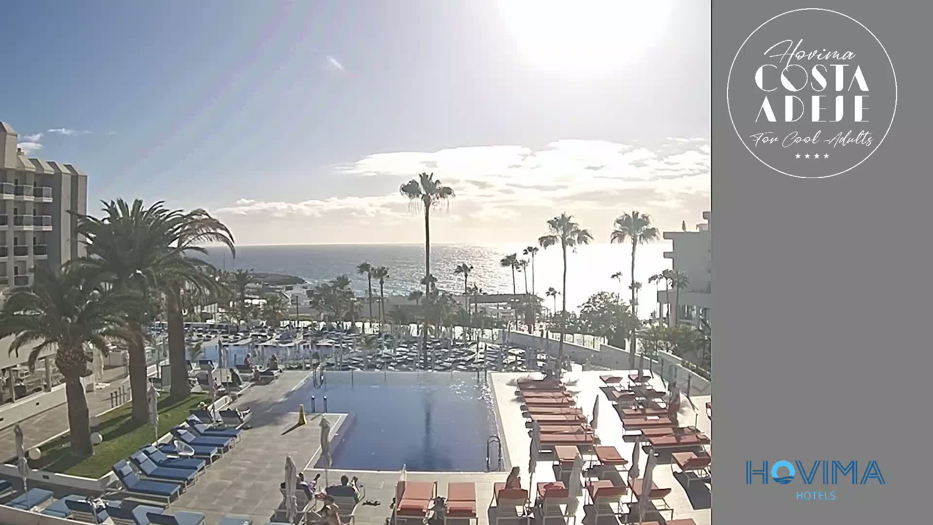 A sunny day reveals a resort pool area with lounge chairs surrounding a large pool, palm trees, and a view of the ocean.