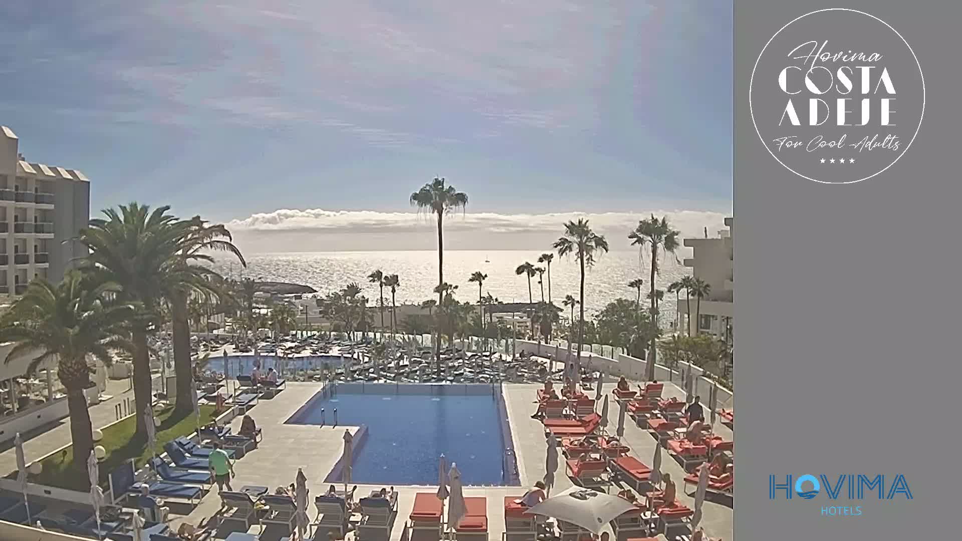A sunny day overlooking a resort pool and ocean, with palm trees and lounge chairs surrounding the pool area.