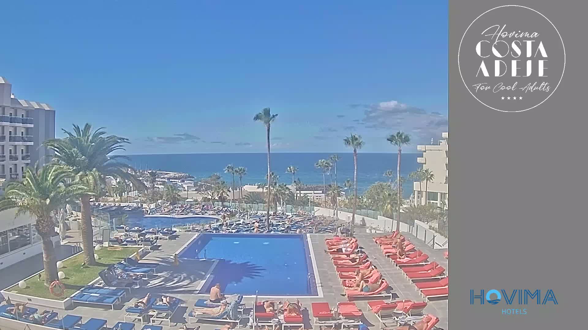 A resort pool area with red lounge chairs surrounds a large blue pool; palm trees and a building are nearby, all overlooking a calm ocean under a clear blue sky.