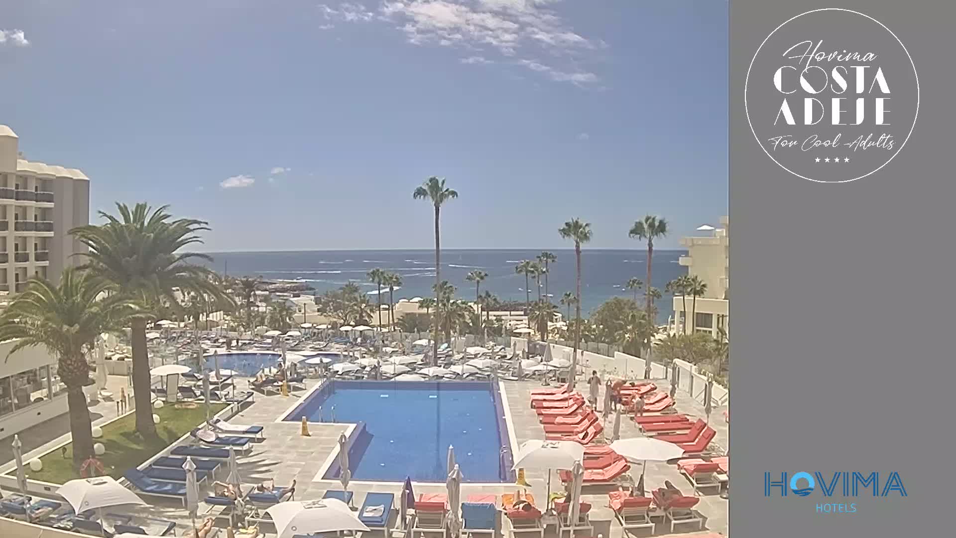 A resort pool area with many lounge chairs and umbrellas surrounds a large swimming pool, overlooking a calm ocean under a sunny sky.