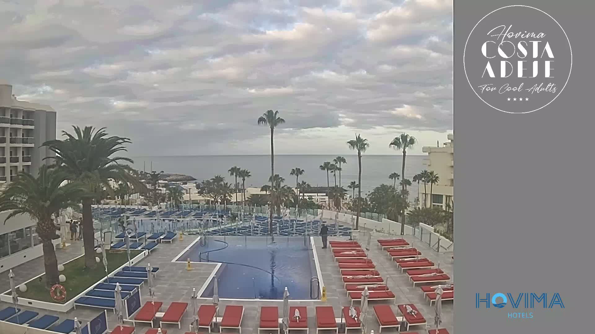 An outdoor pool area with numerous lounge chairs surrounds a rectangular pool; palm trees and a calm ocean are visible in the background under a cloudy sky.