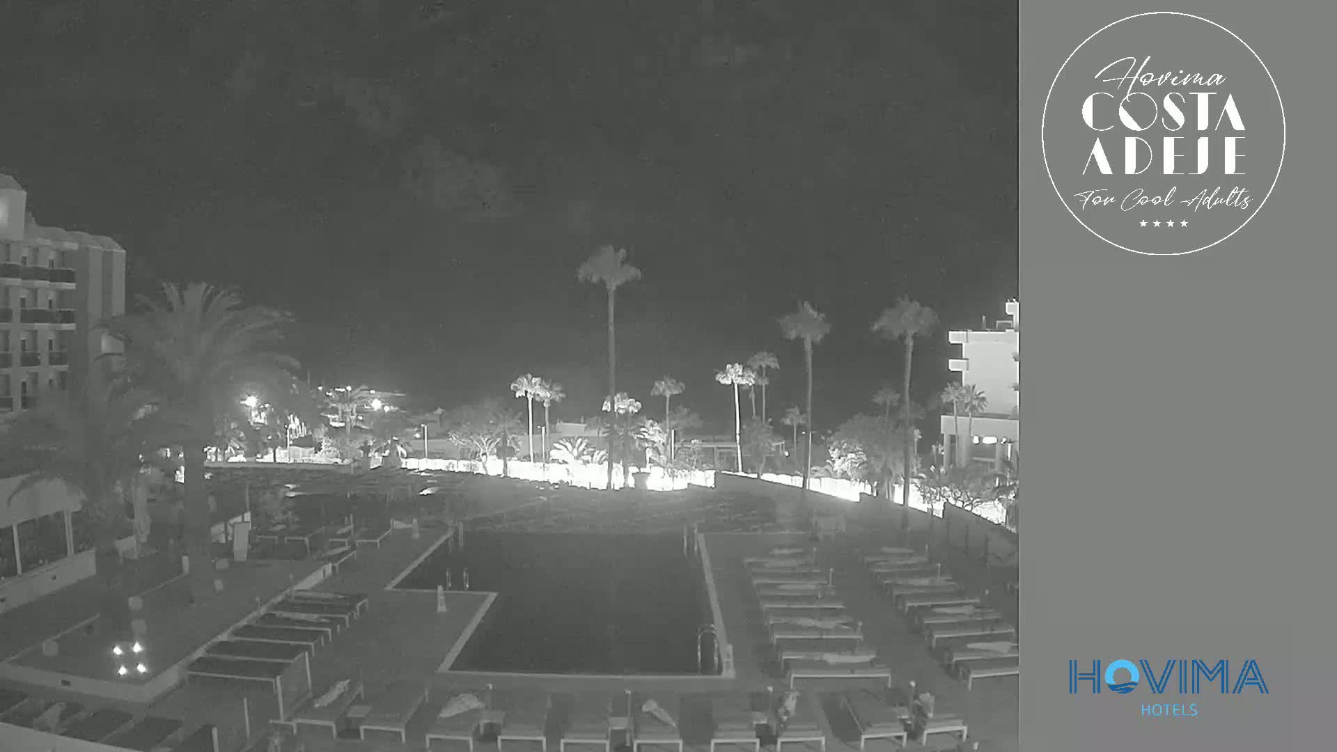 A nighttime, black-and-white view of a resort pool area with palm trees, lounge chairs, and a building under a dark, clear sky.